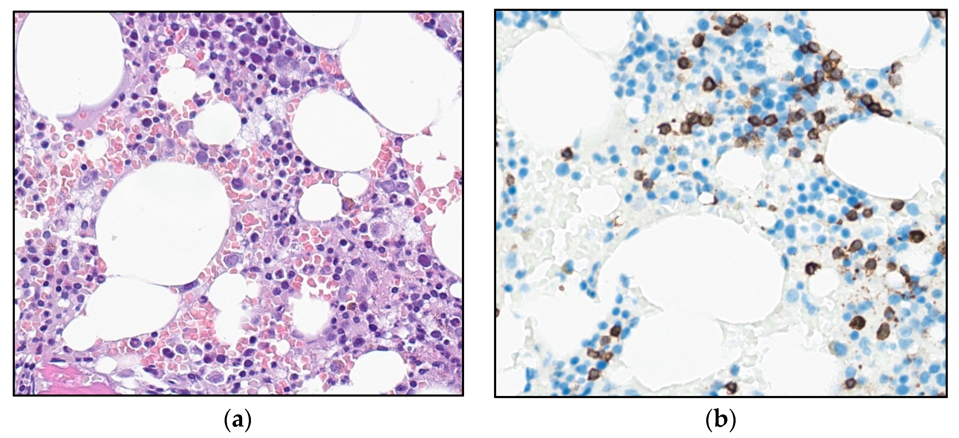 Curroncol 30 00727 g002 Curroncol 30 00727 g002