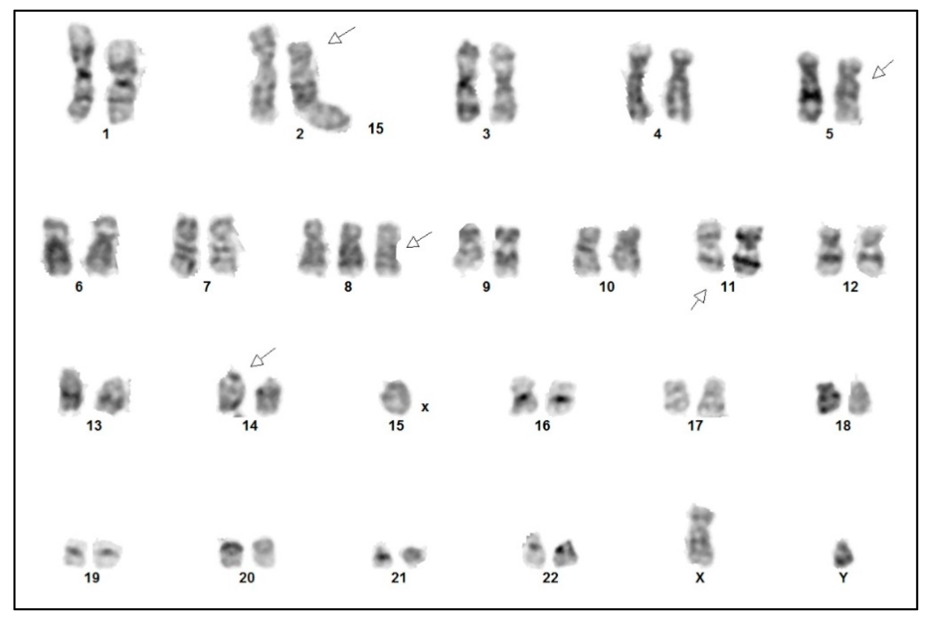 Curroncol 30 00727 g006 Curroncol 30 00727 g006