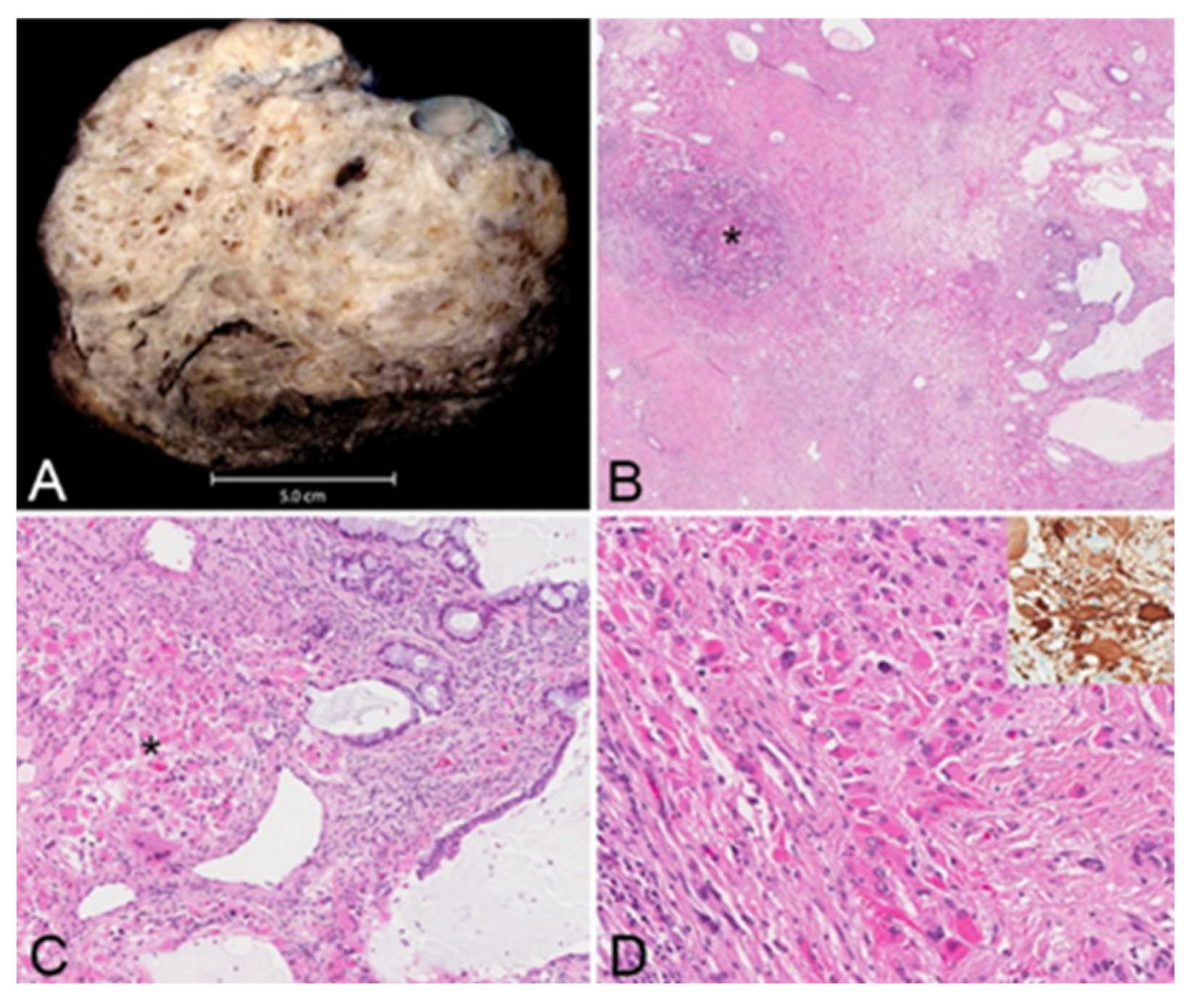 Curroncol 31 00003 g005