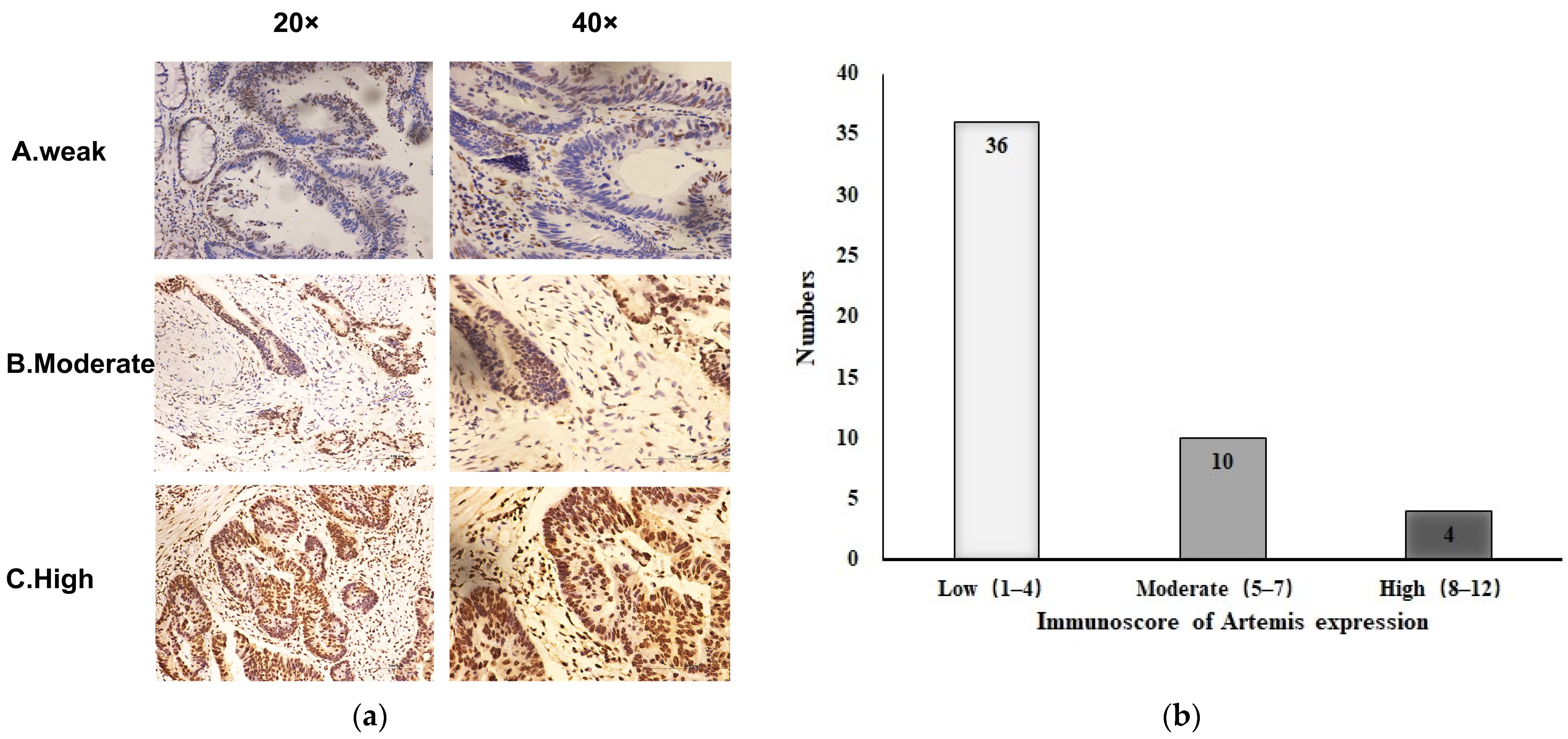 Curroncol 31 00037 g001 Curroncol 31 00037 g001
