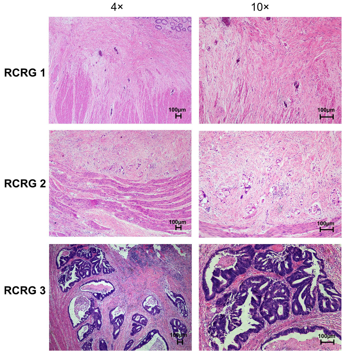 Curroncol 31 00037 g003 Curroncol 31 00037 g003