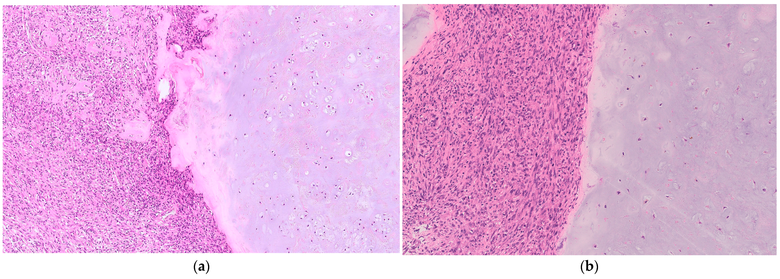 Curroncol 31 00040 g001