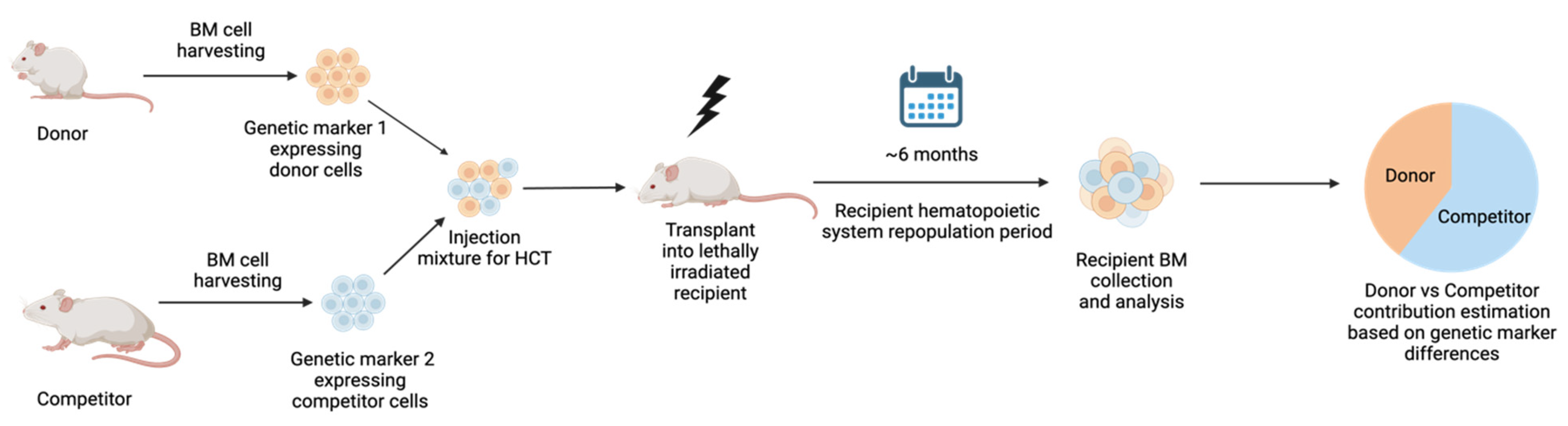 Curroncol 31 00044 g002