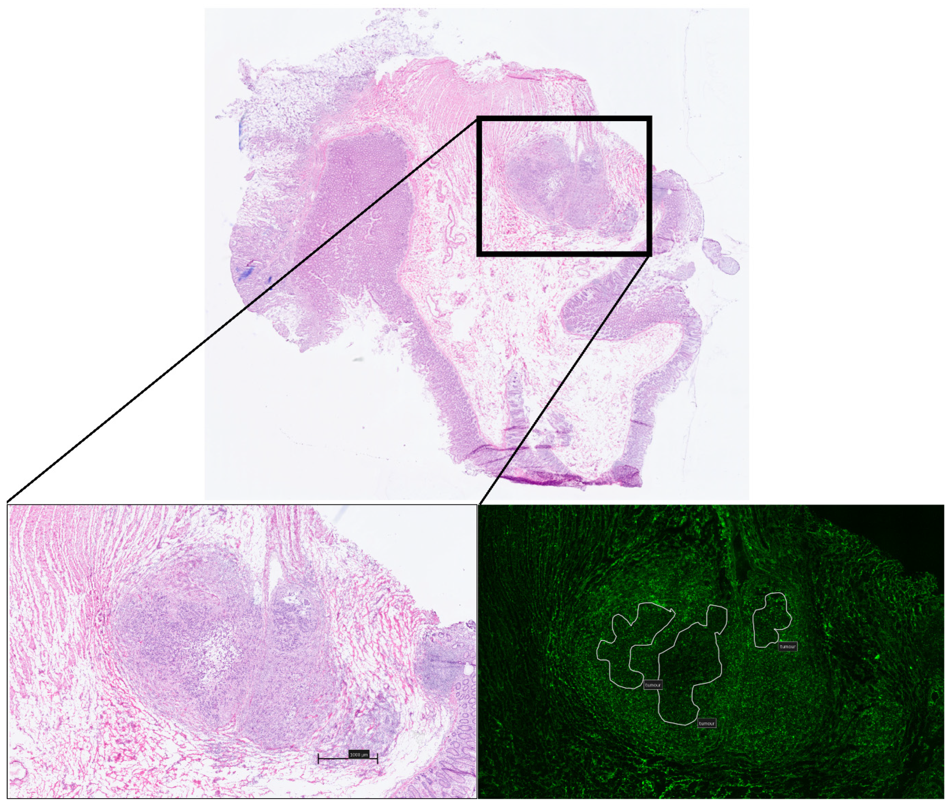 Curroncol 31 00063 g005