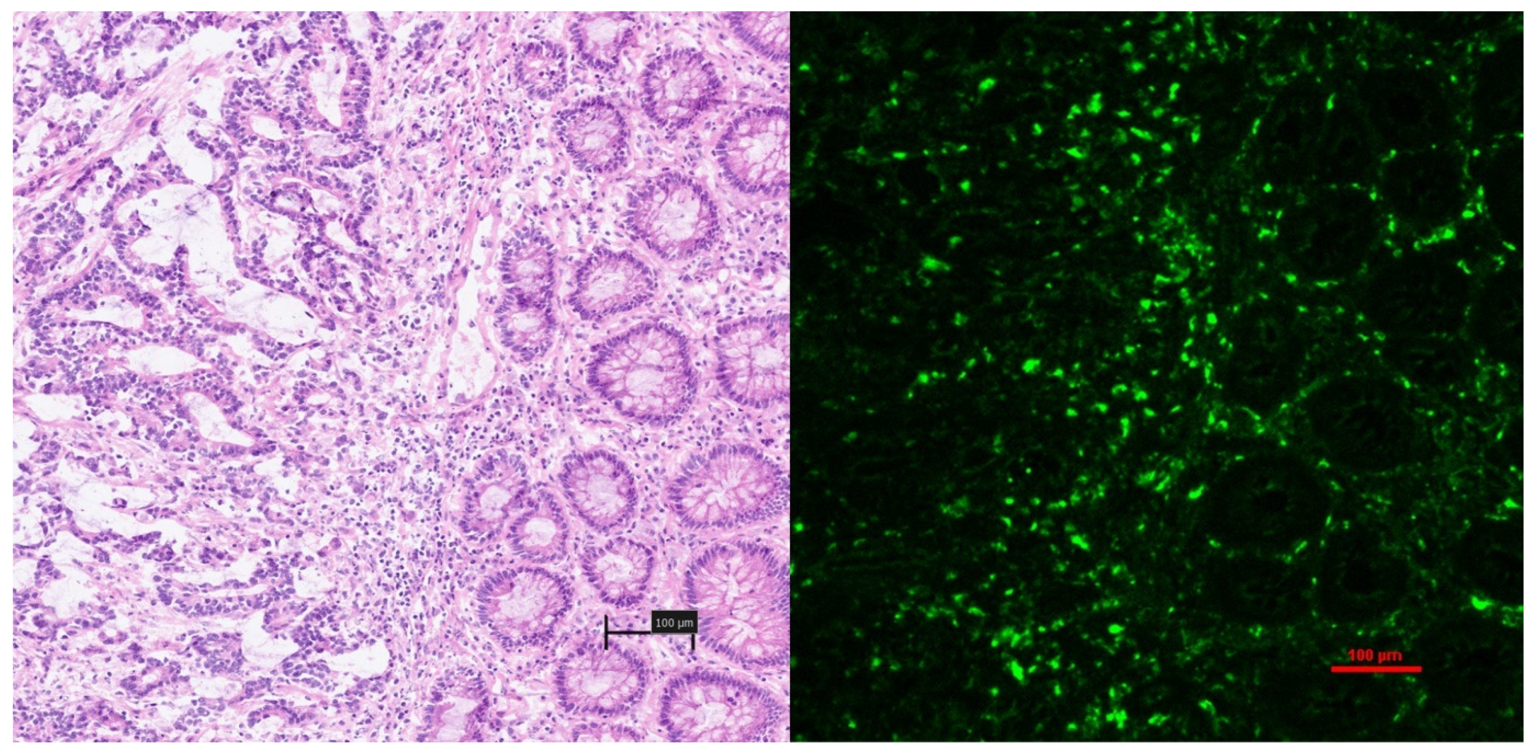 Curroncol 31 00063 g006