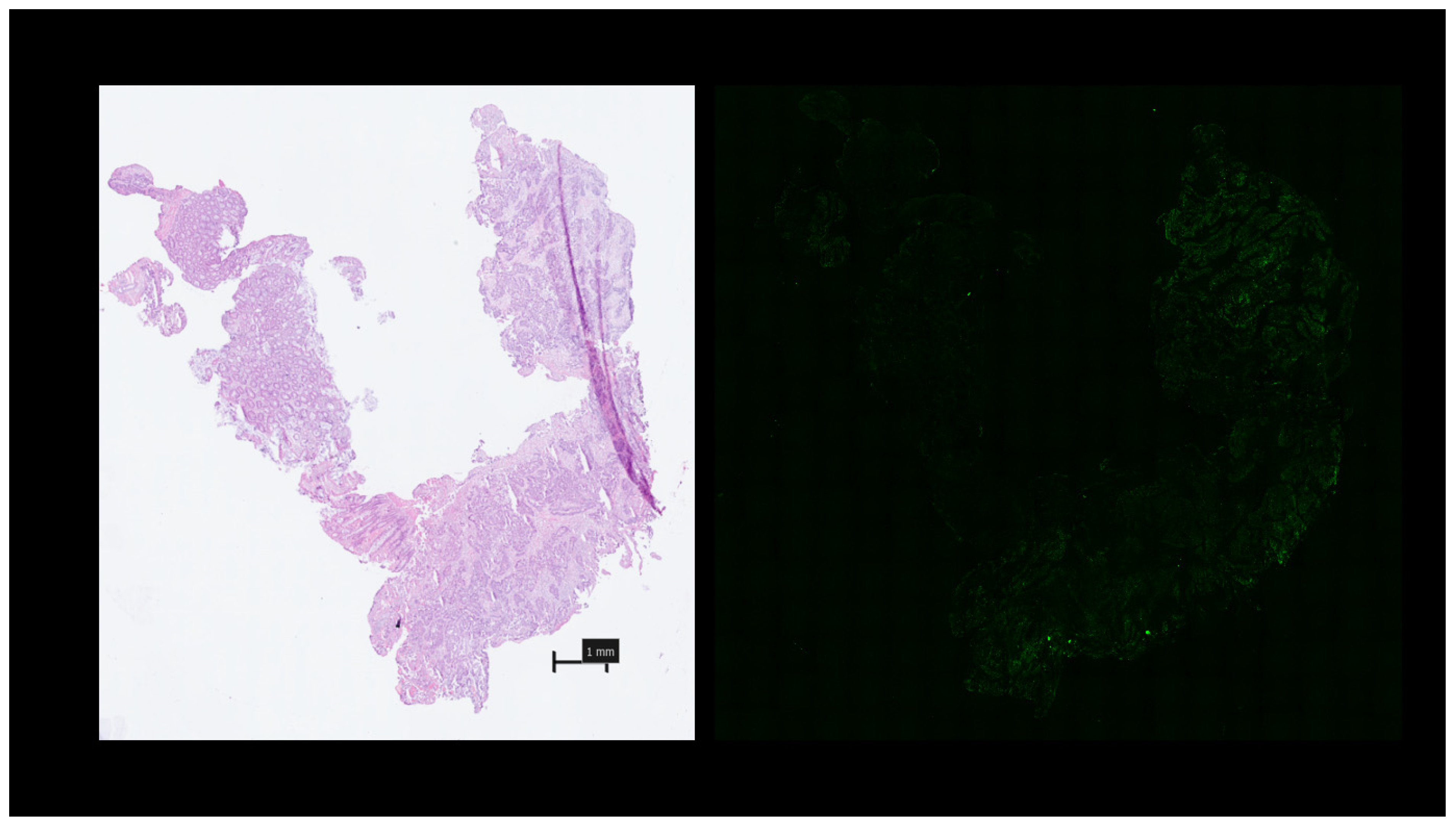 Curroncol 31 00063 g007