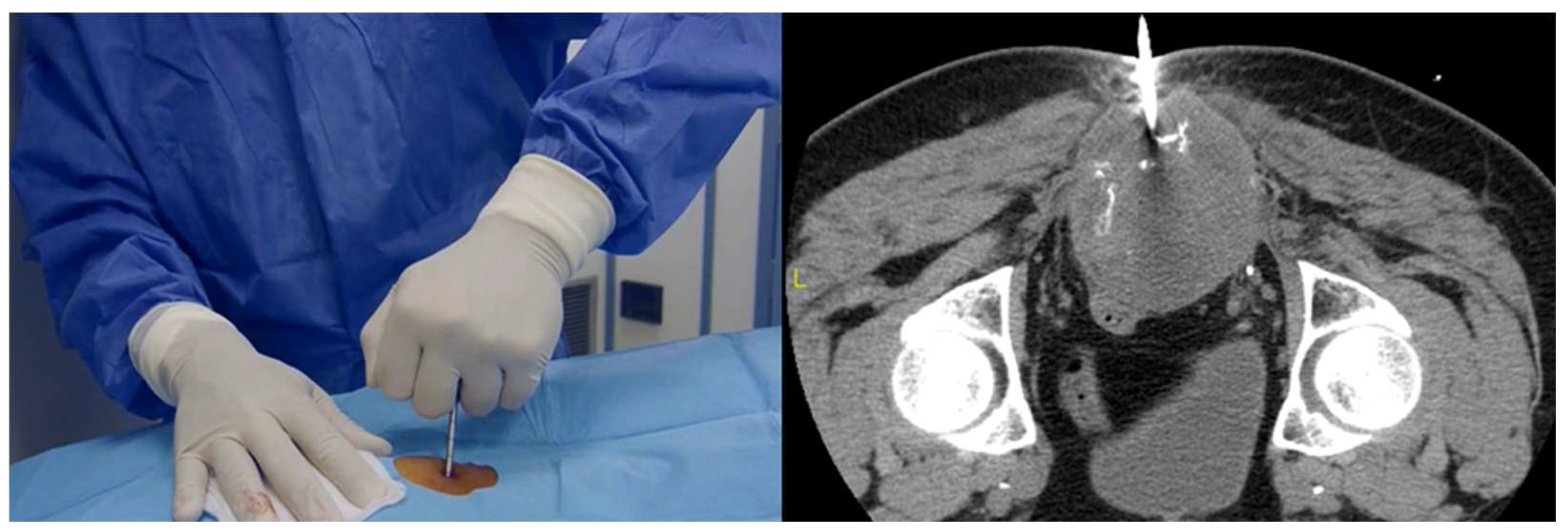 Curroncol 31 00067 g001