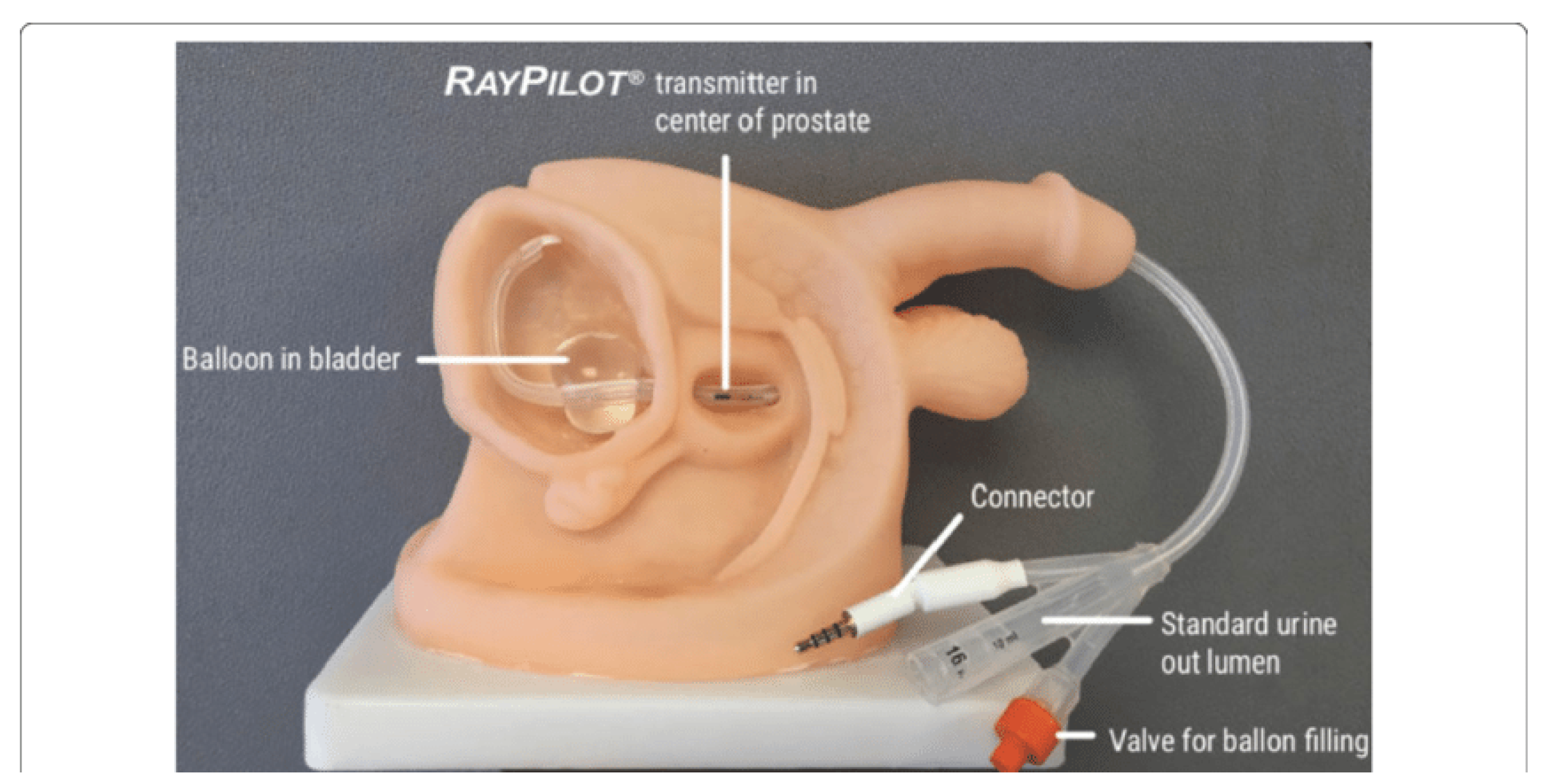 Curroncol 31 00072 g001