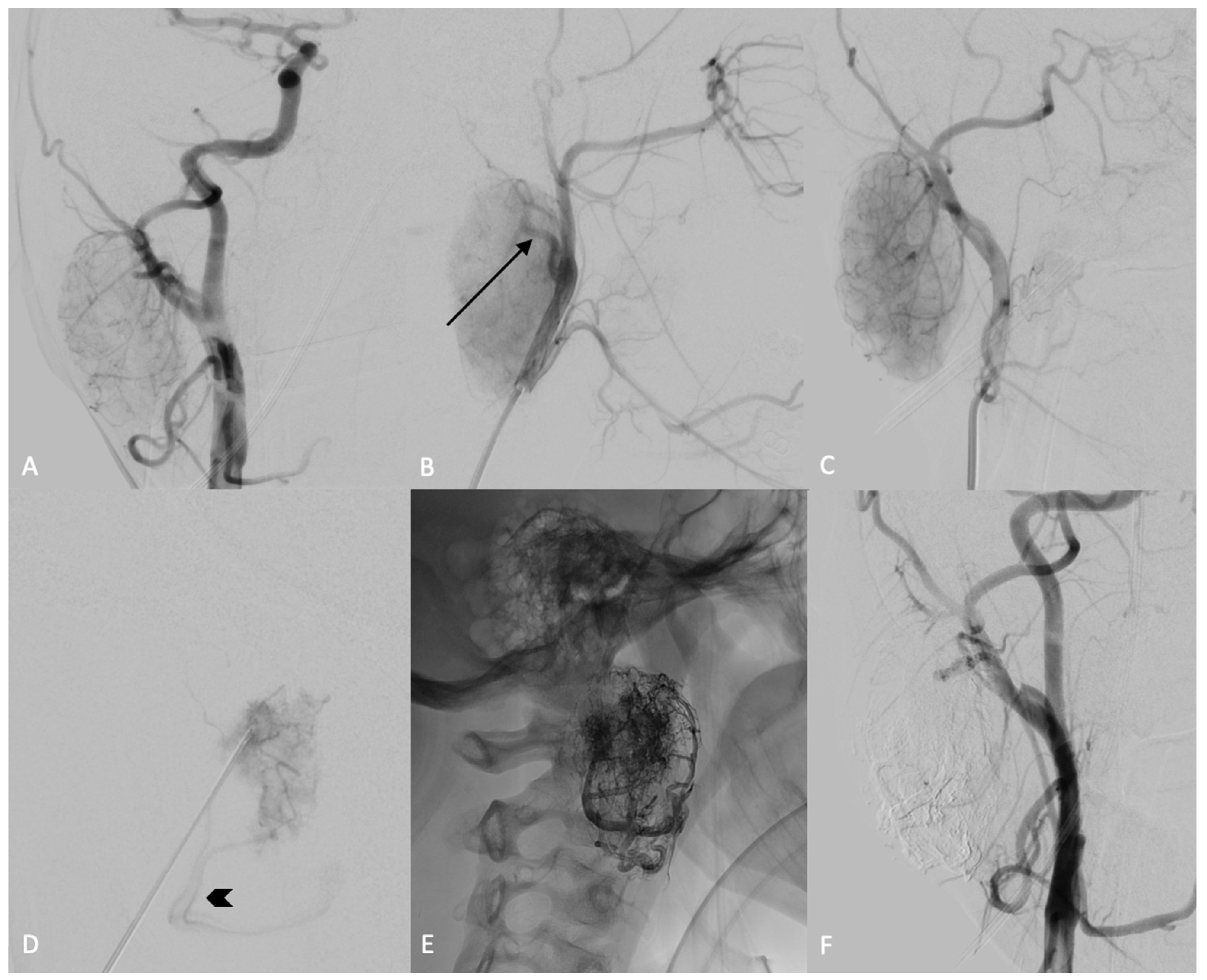 Curroncol 31 00151 g002