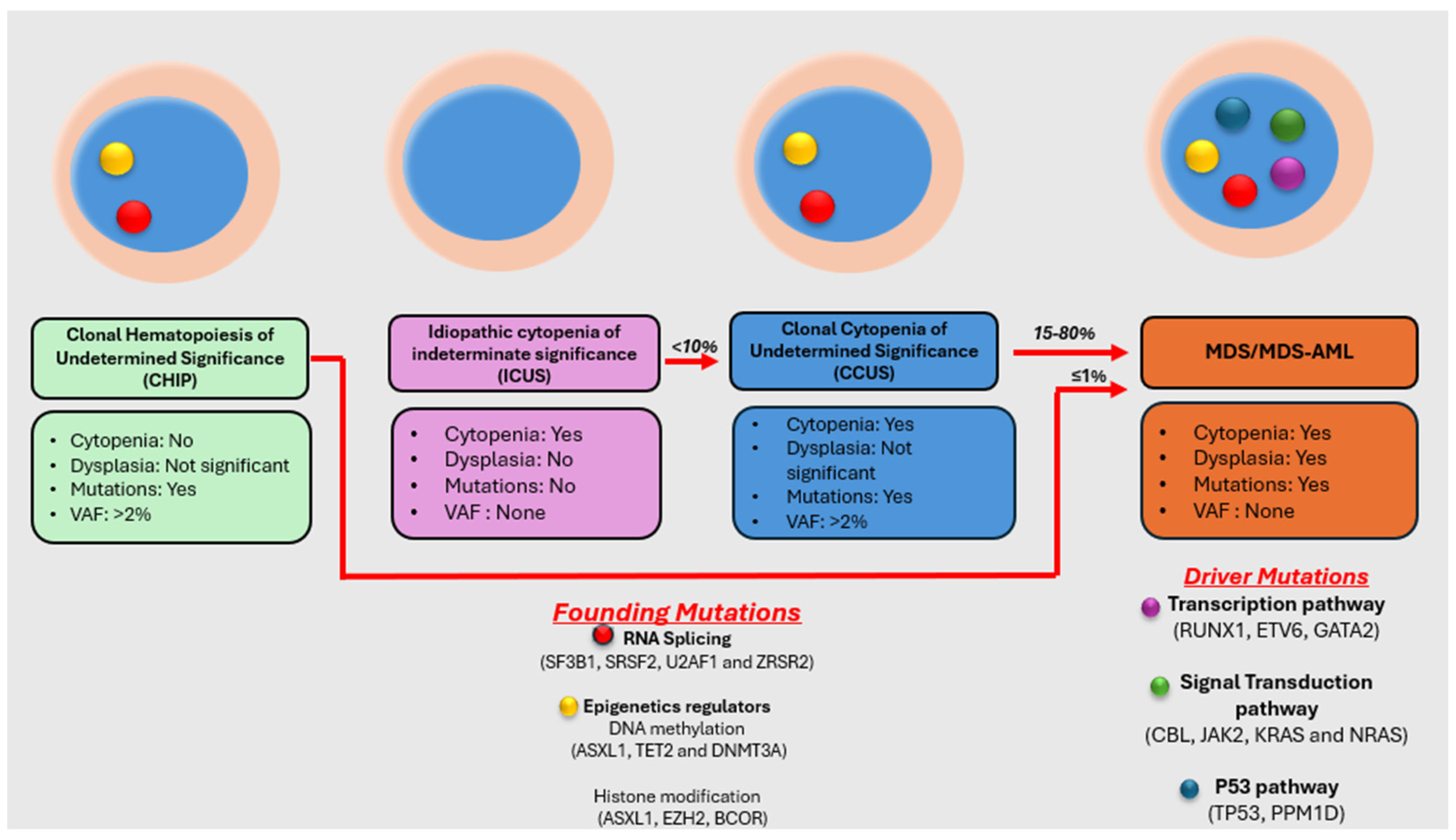Curroncol 31 00175 g001