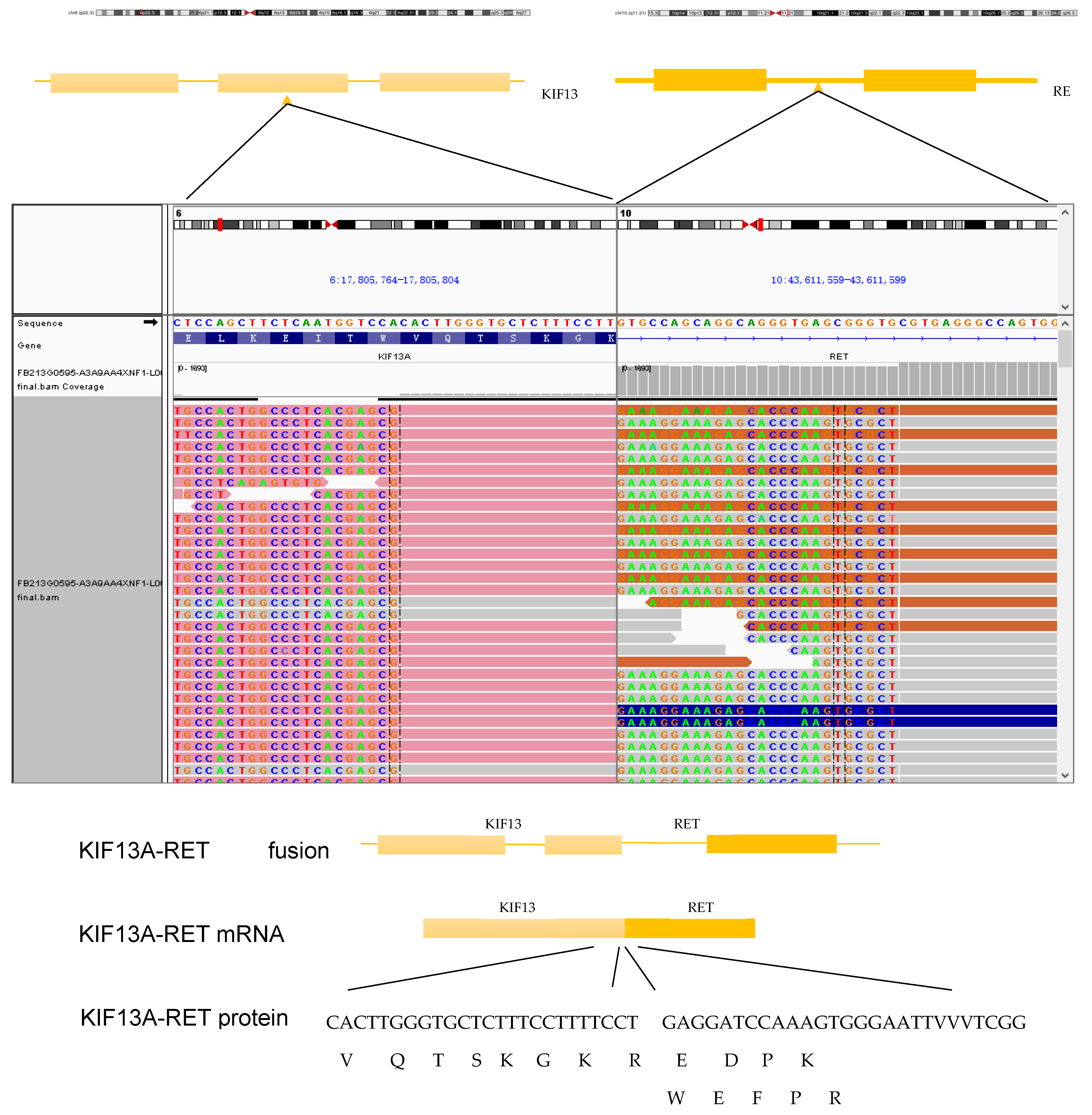 Curroncol 31 00281 g002