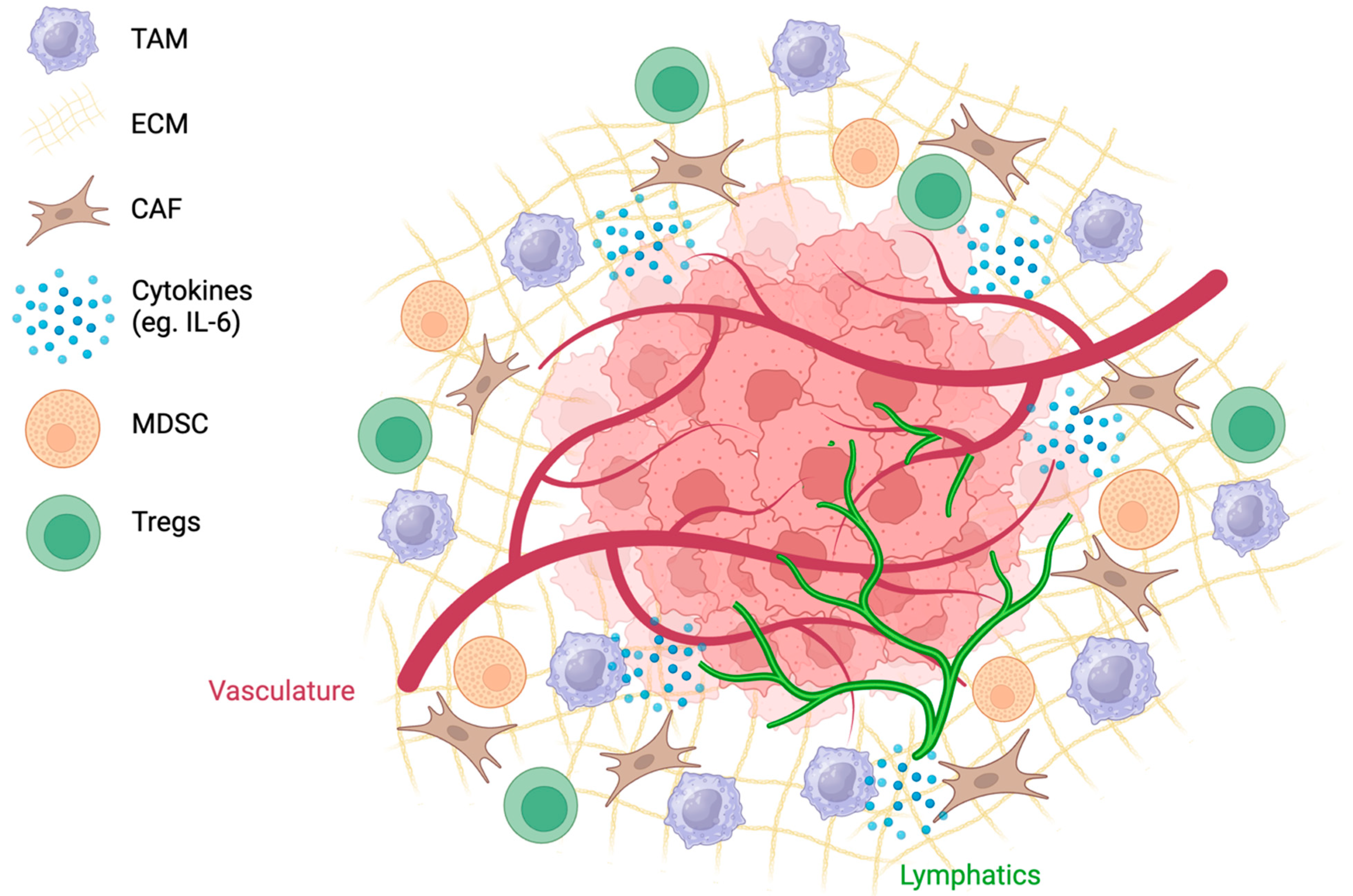 Curroncol 31 00283 g002