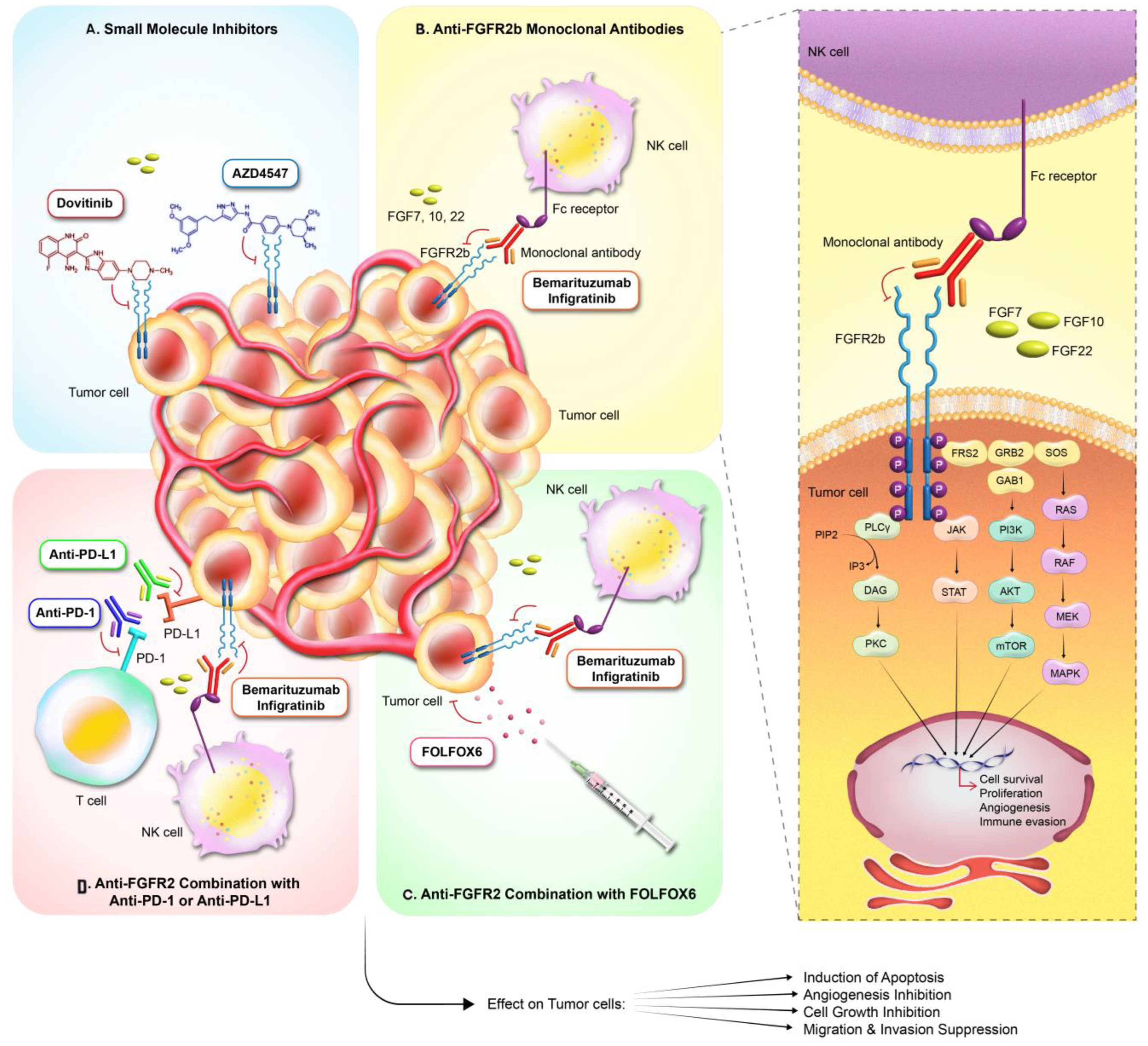 Curroncol 31 00321 g002