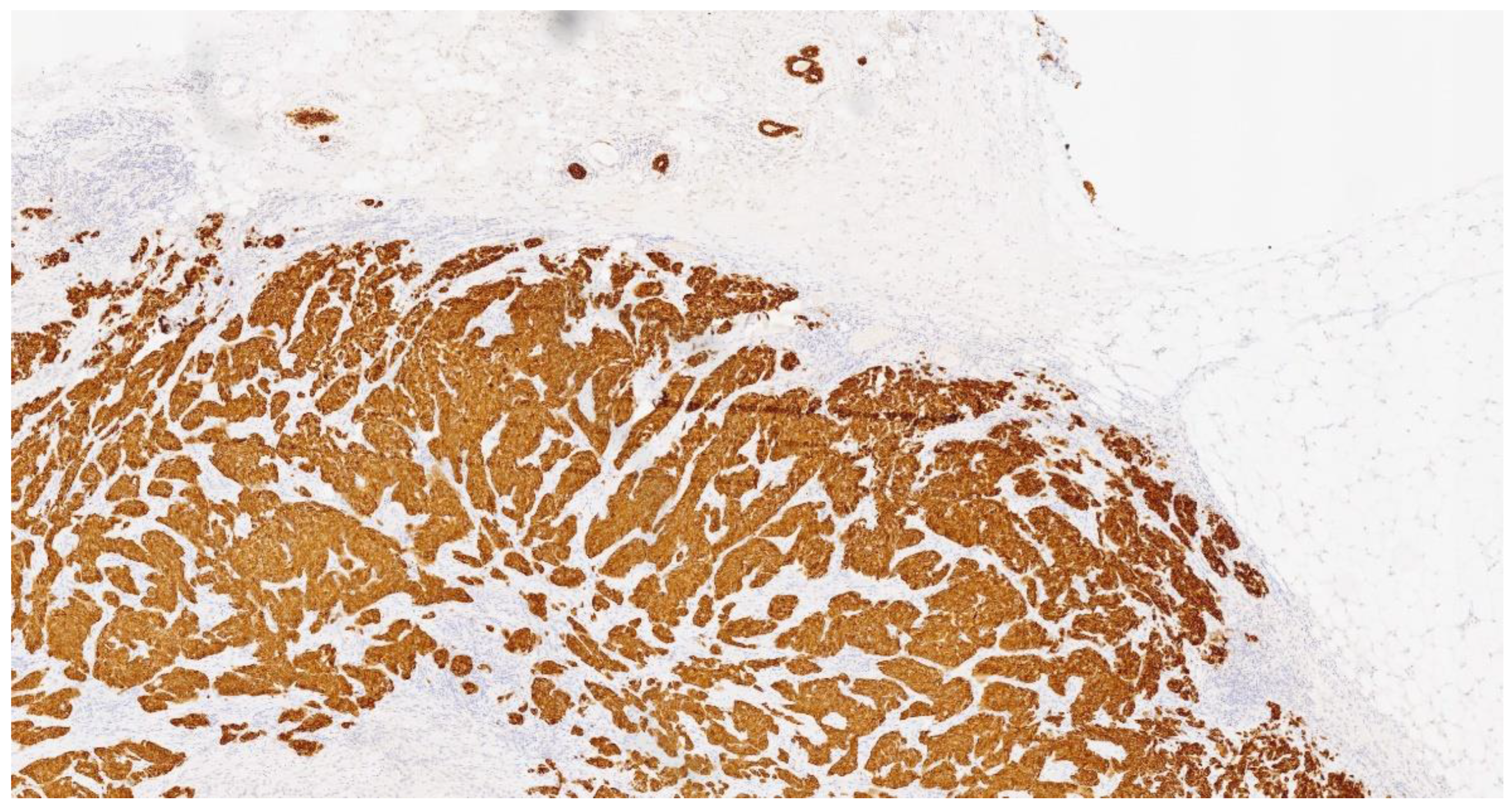 Curroncol 31 00350 g001