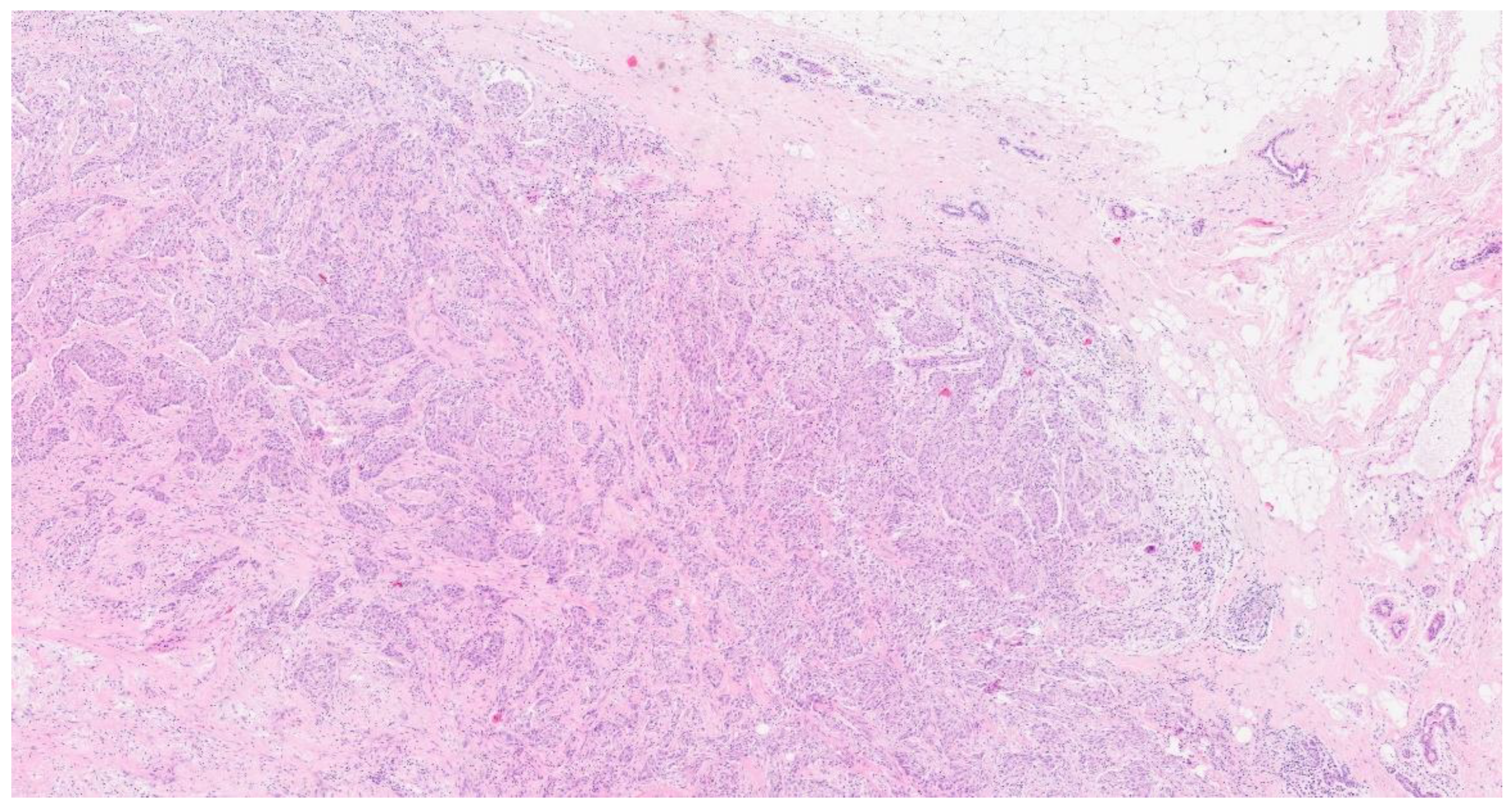 Curroncol 31 00350 g002