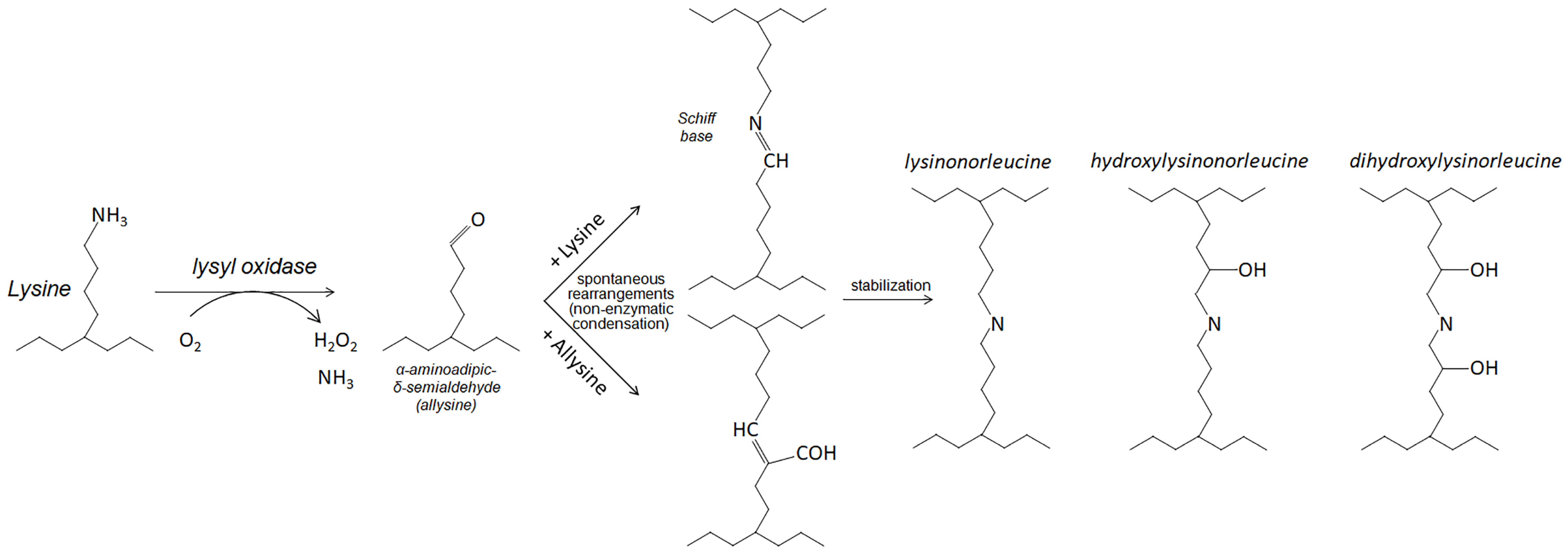 Curroncol 31 00360 g001