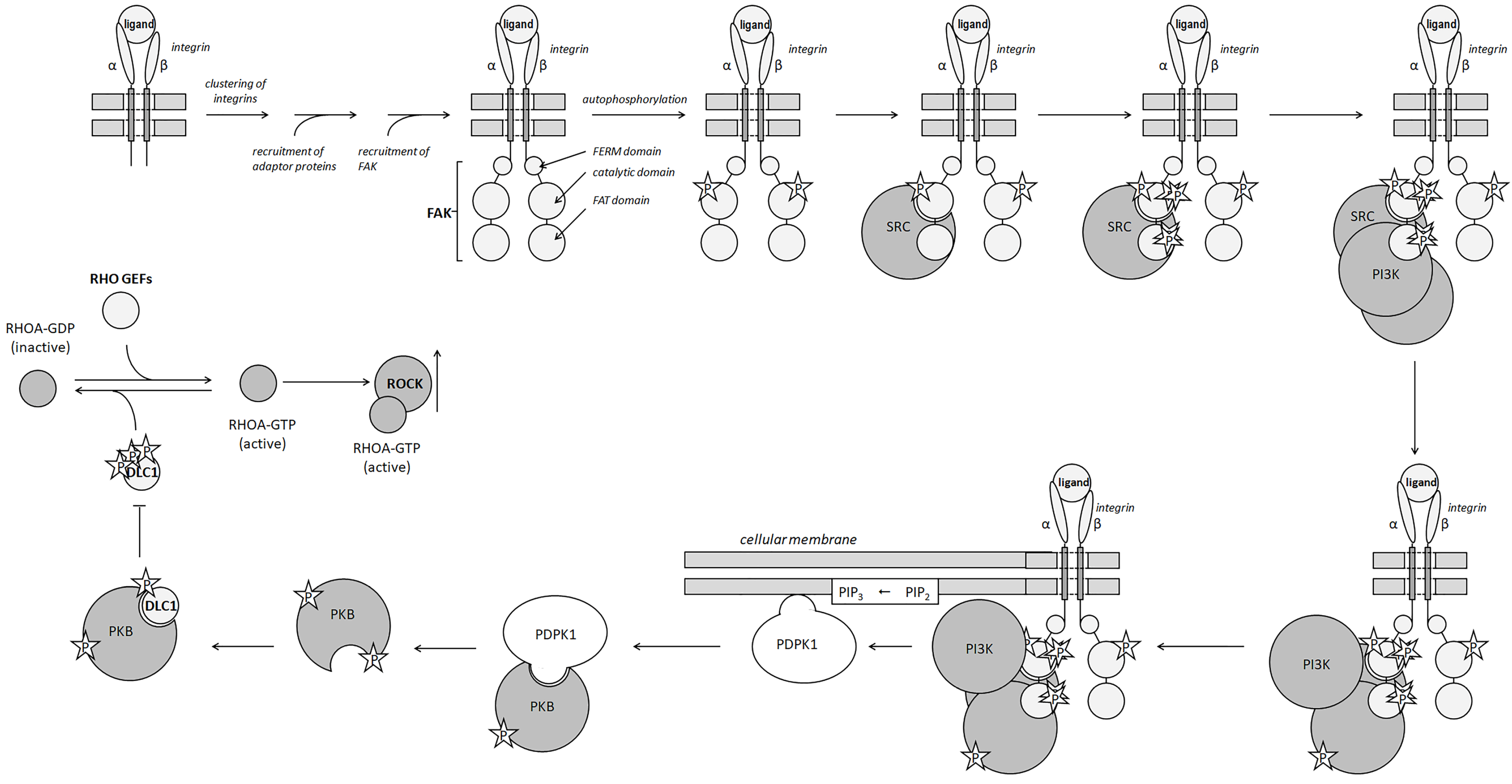 Curroncol 31 00360 g002