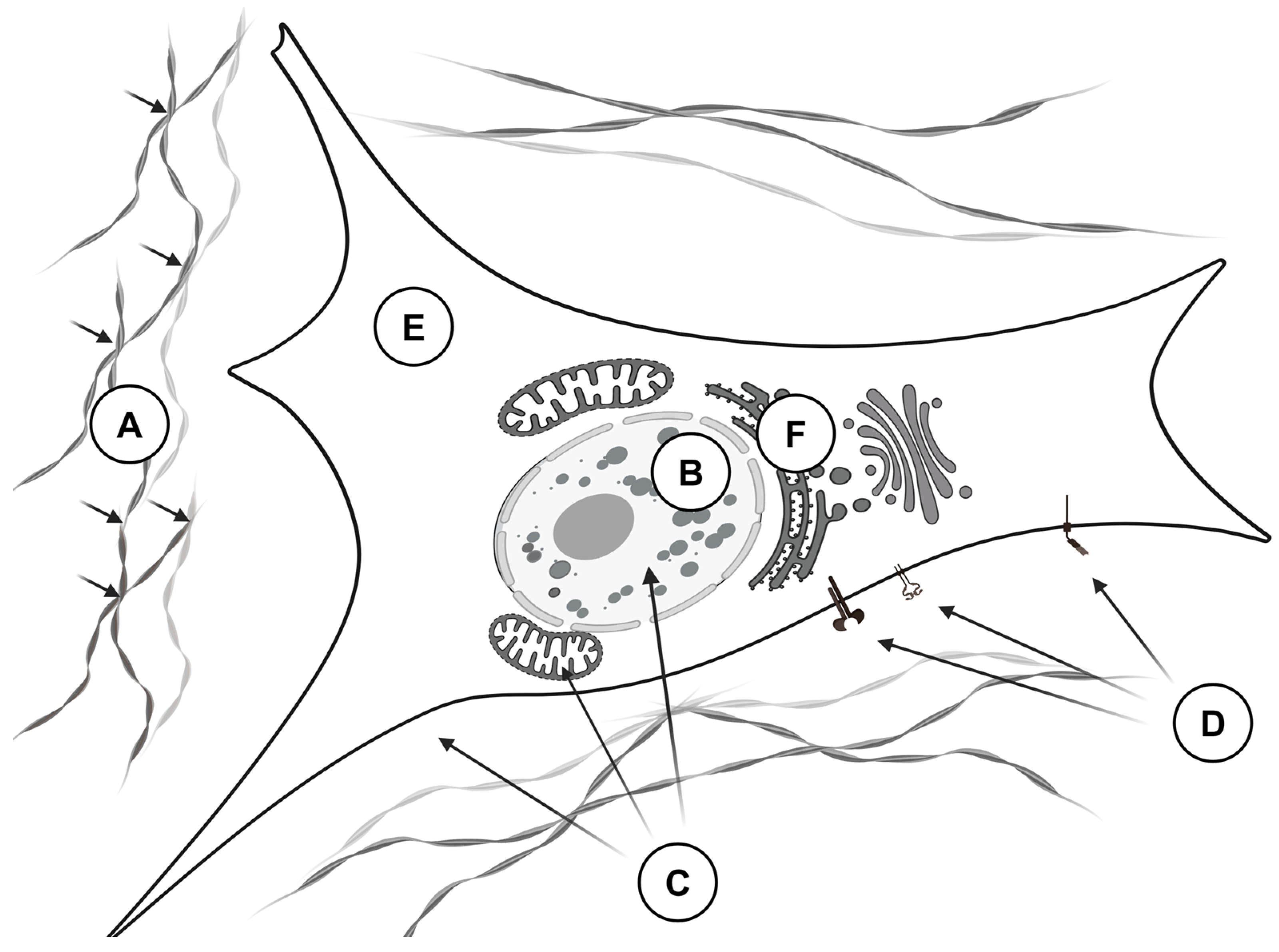 Curroncol 31 00360 g003