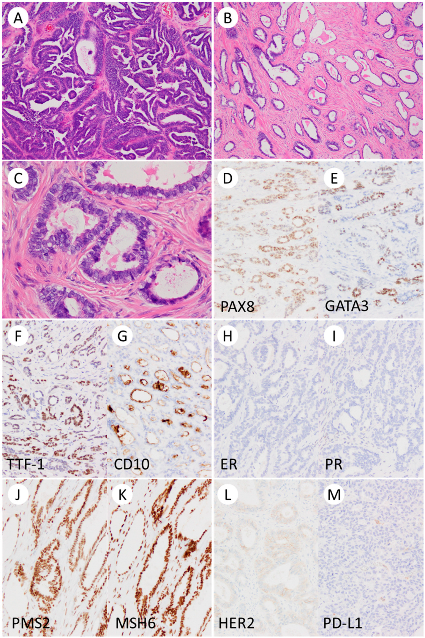 Curroncol 31 00378 g001