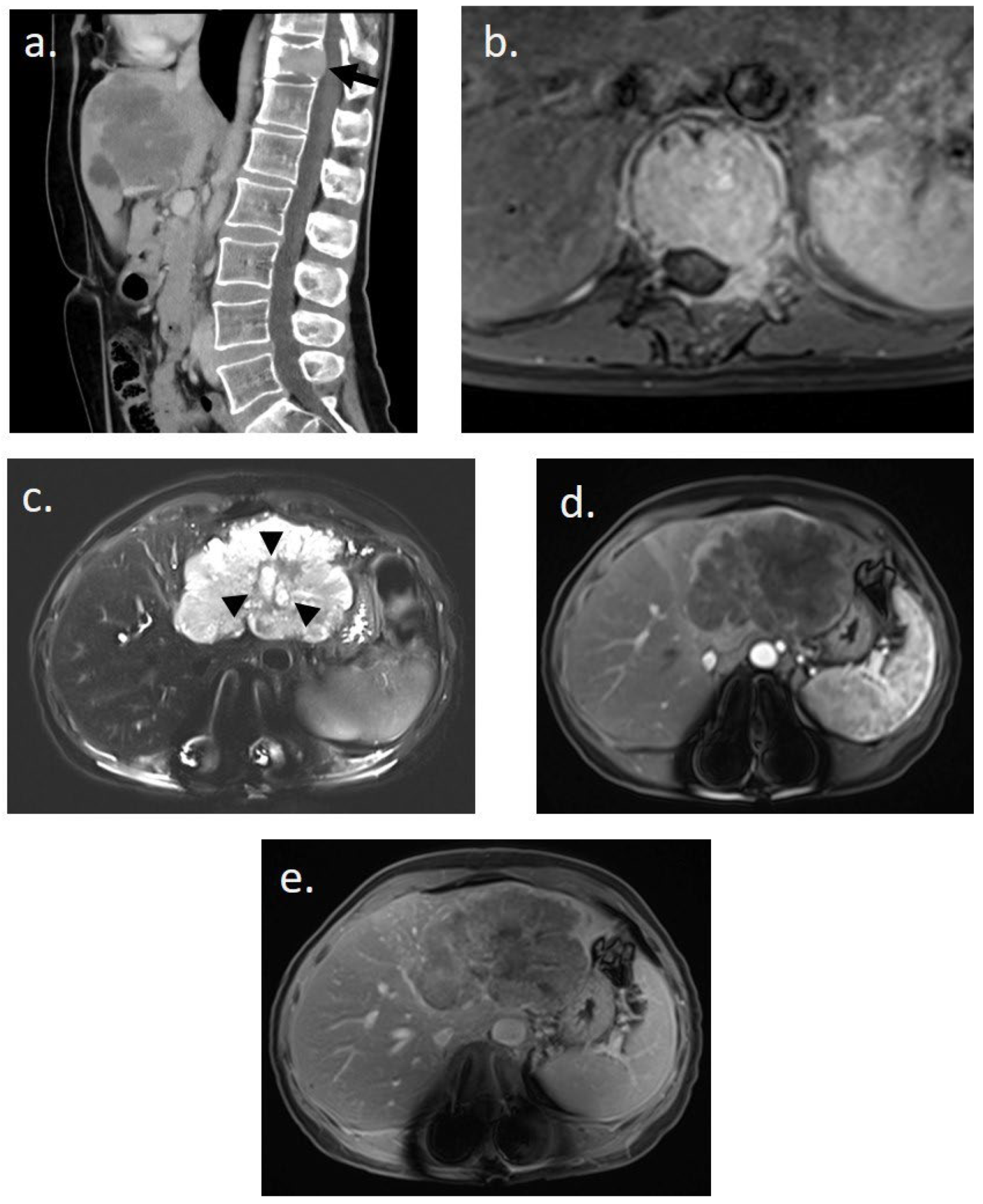 Curroncol 31 00382 g001
