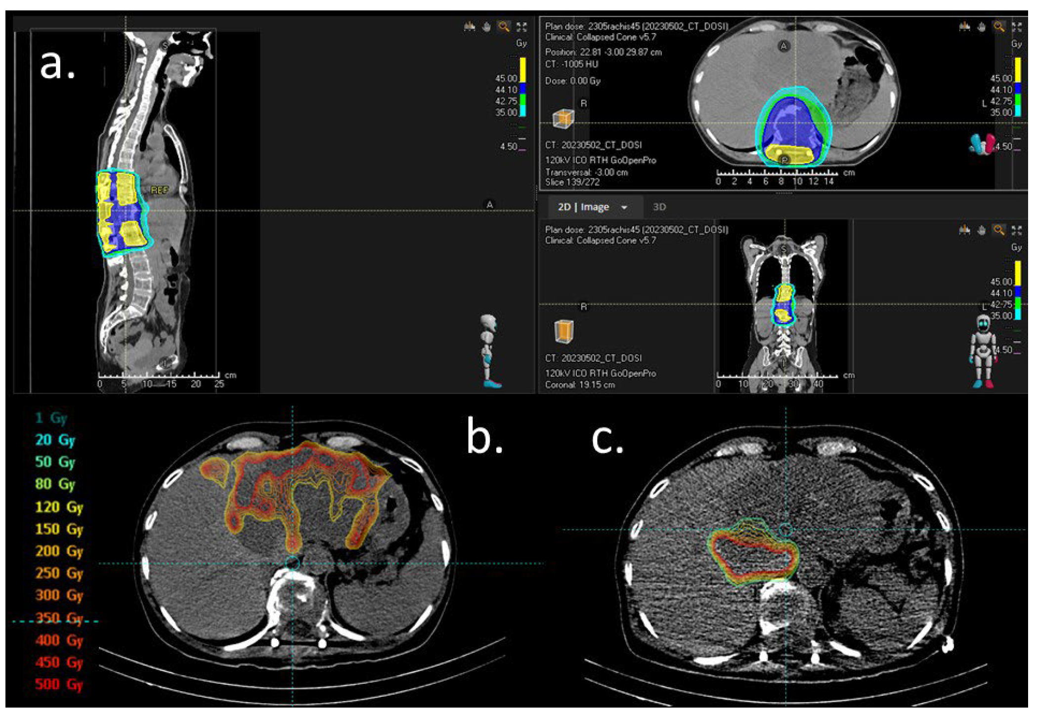 Curroncol 31 00382 g002