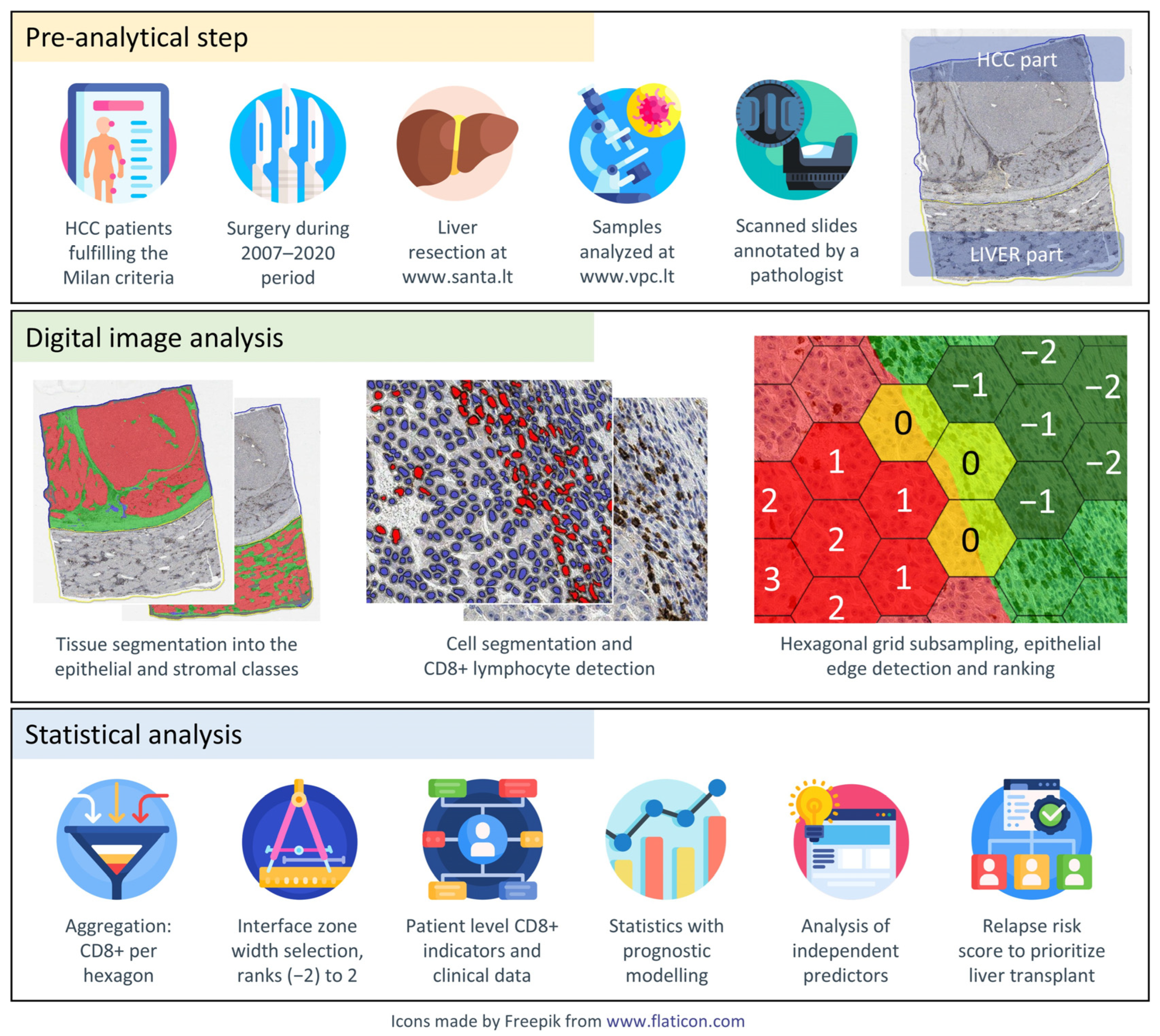 Curroncol 31 00394 g001