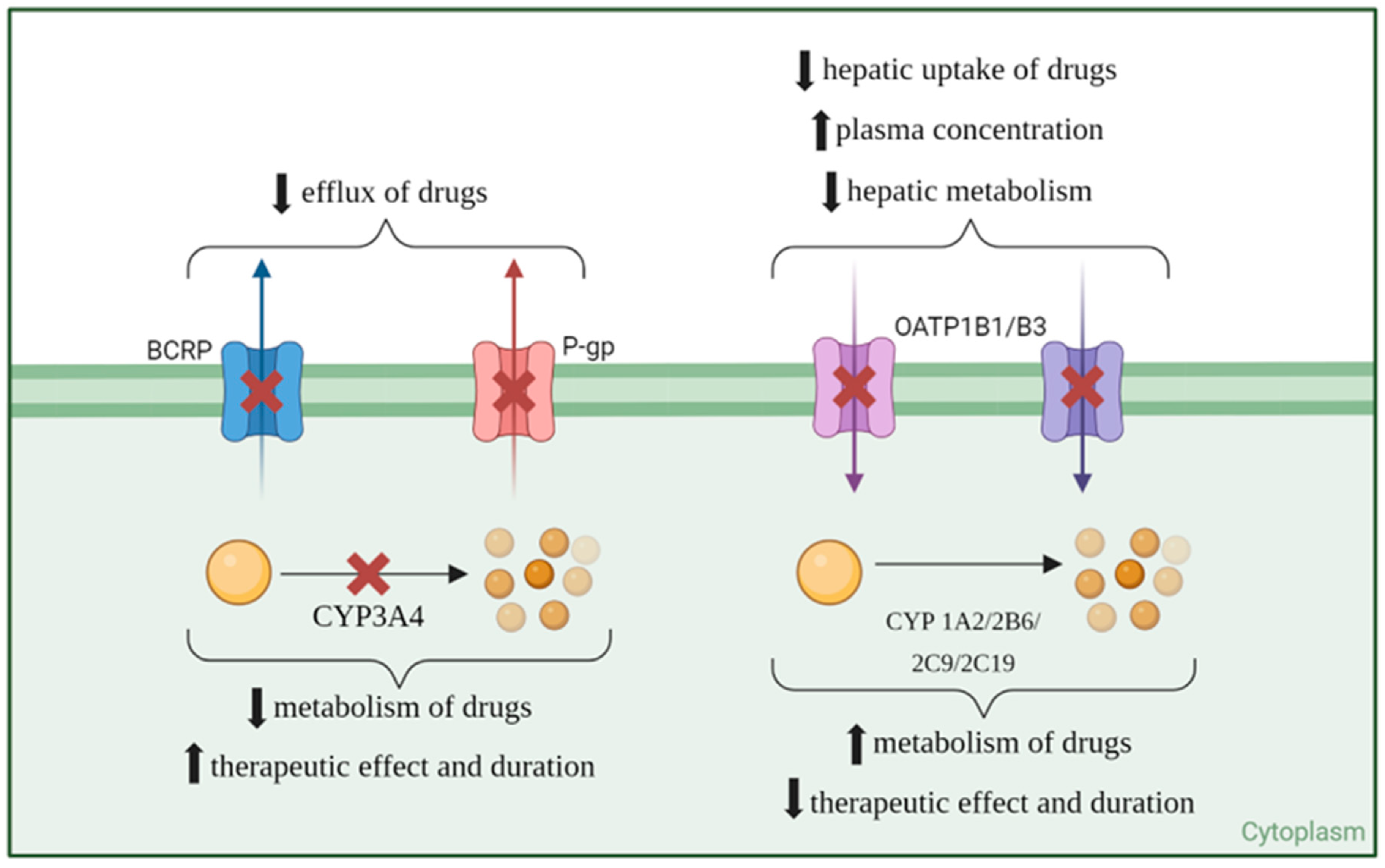 Curroncol 31 00450 g002