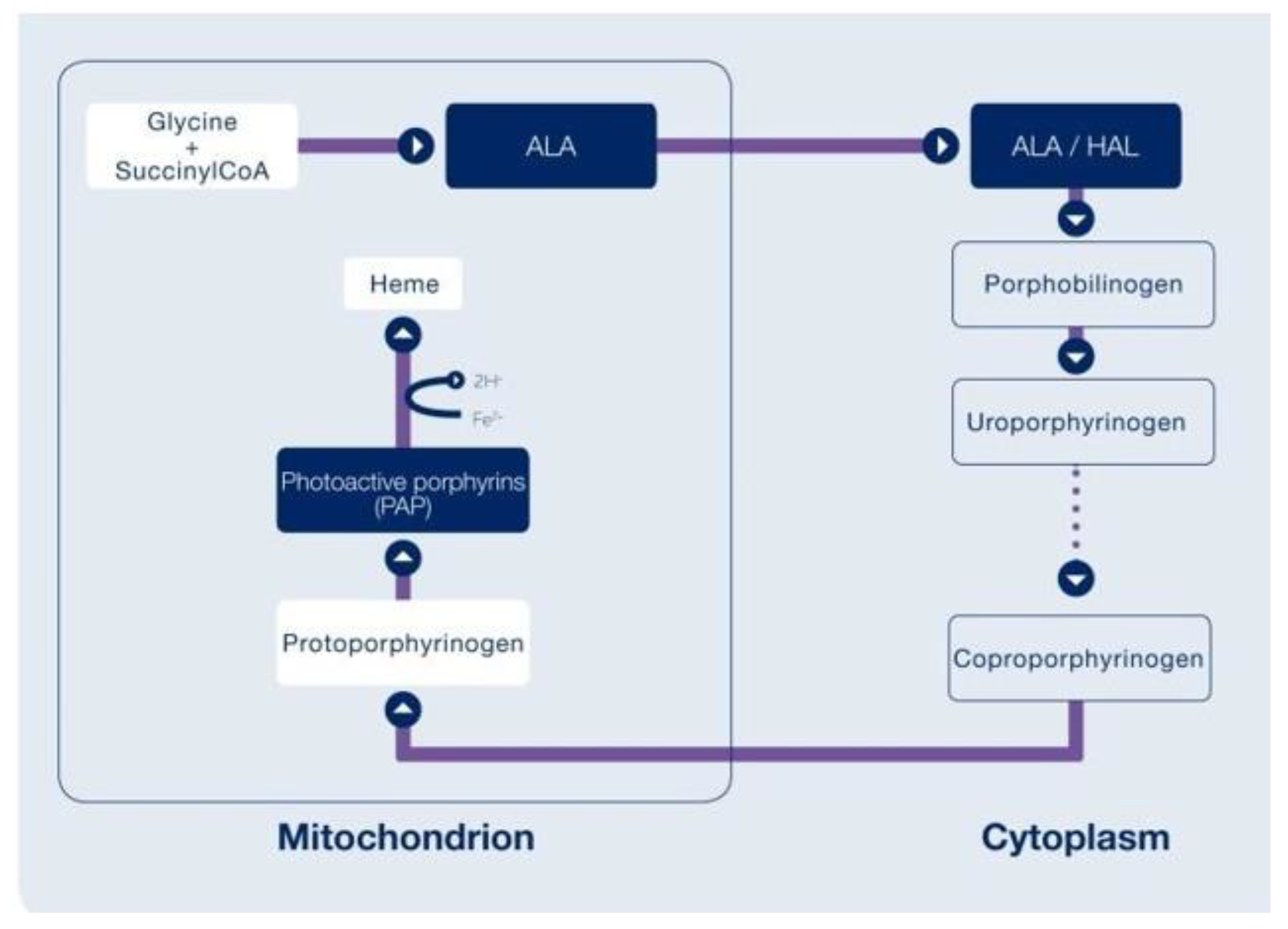 Curroncol 31 00493 g003