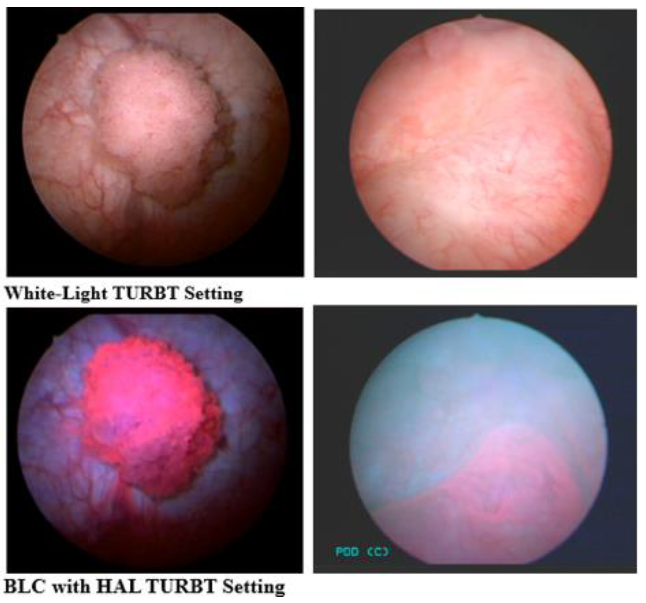 Curroncol 31 00493 g004