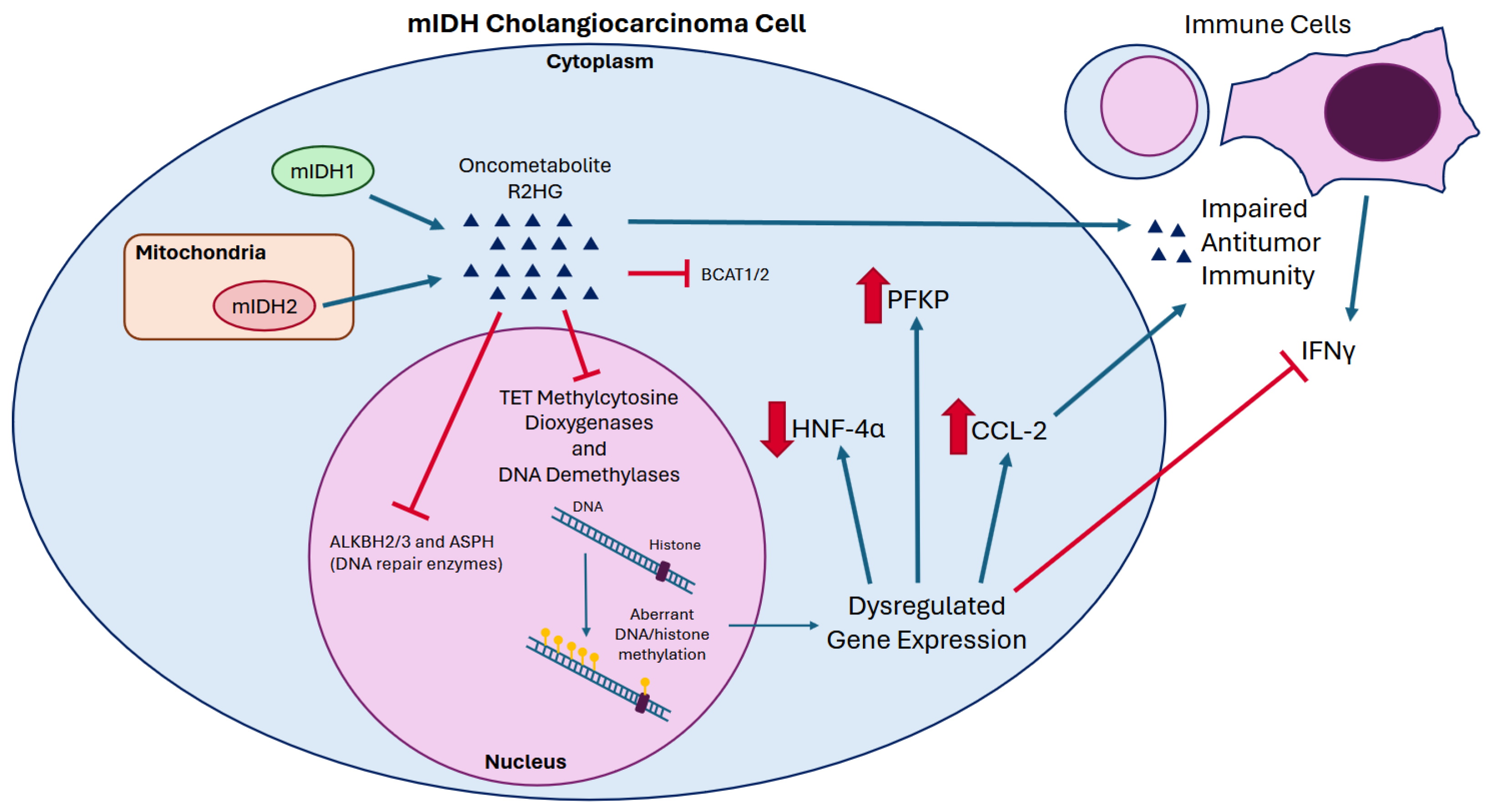 Curroncol 32 00044 g001