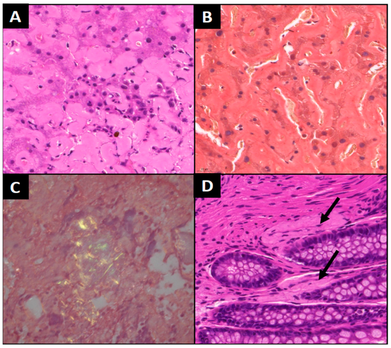 Curroncol 32 00063 g002