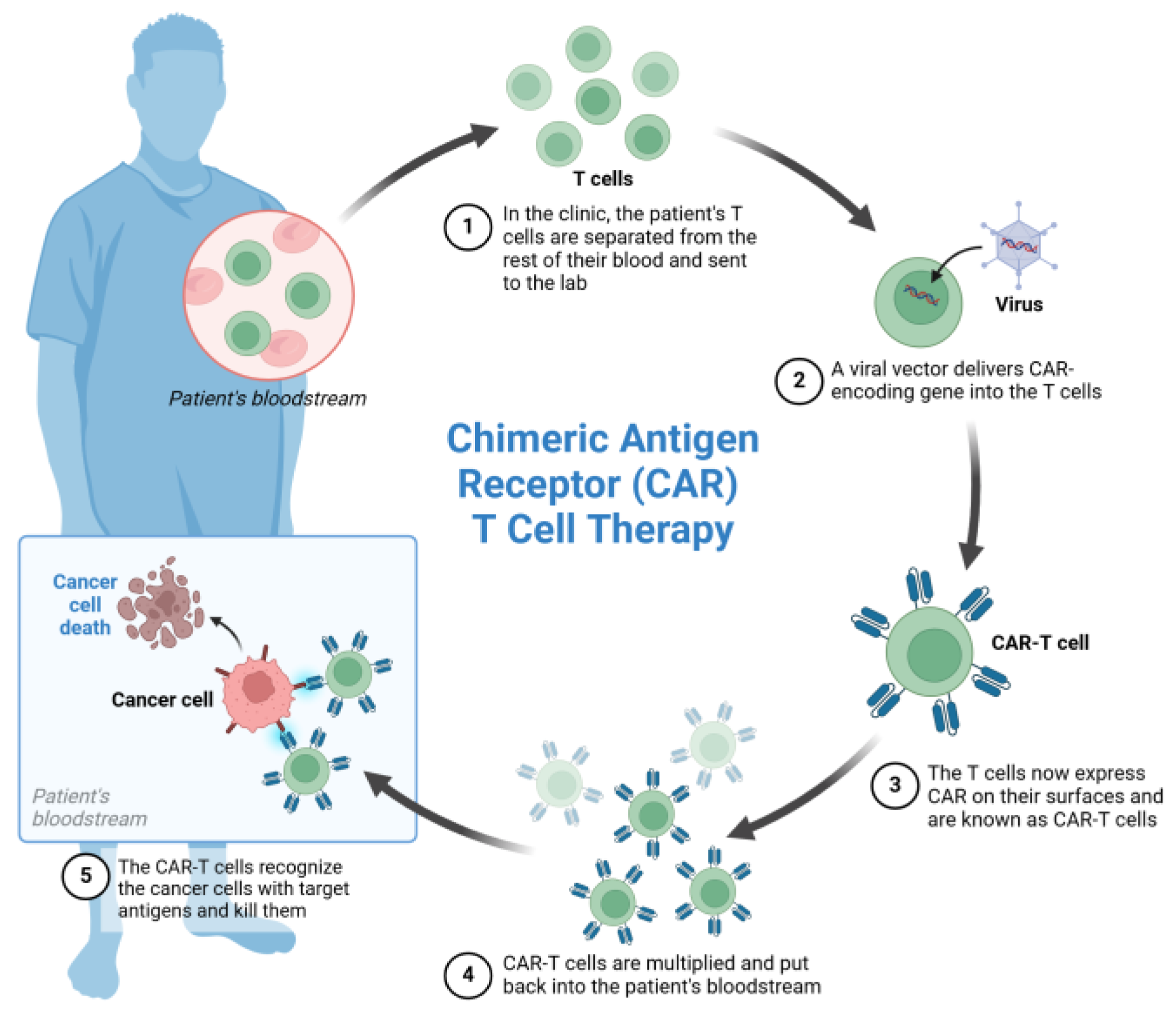 Curroncol 32 00079 g001