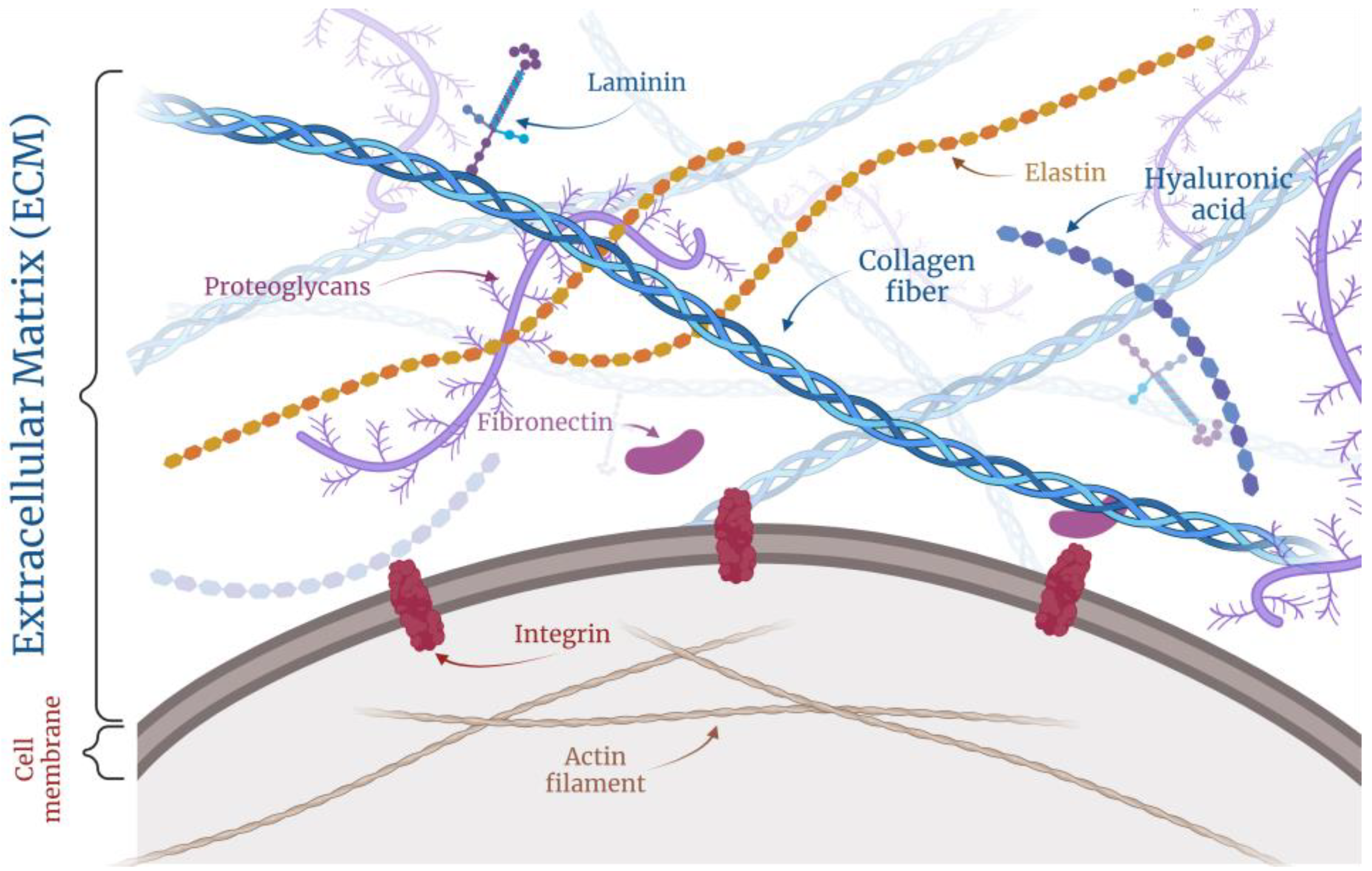 Curroncol 32 00079 g002