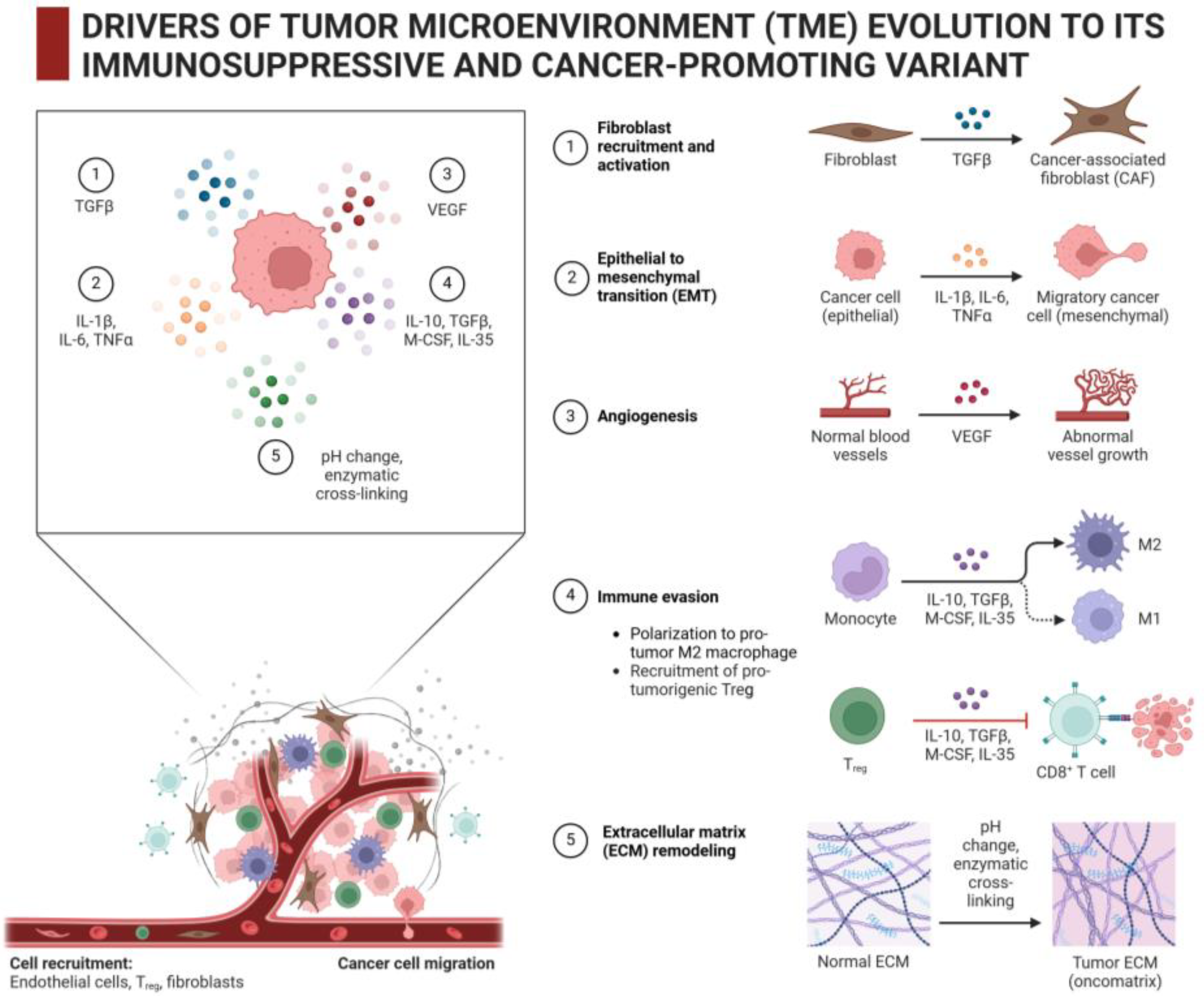Curroncol 32 00079 g003