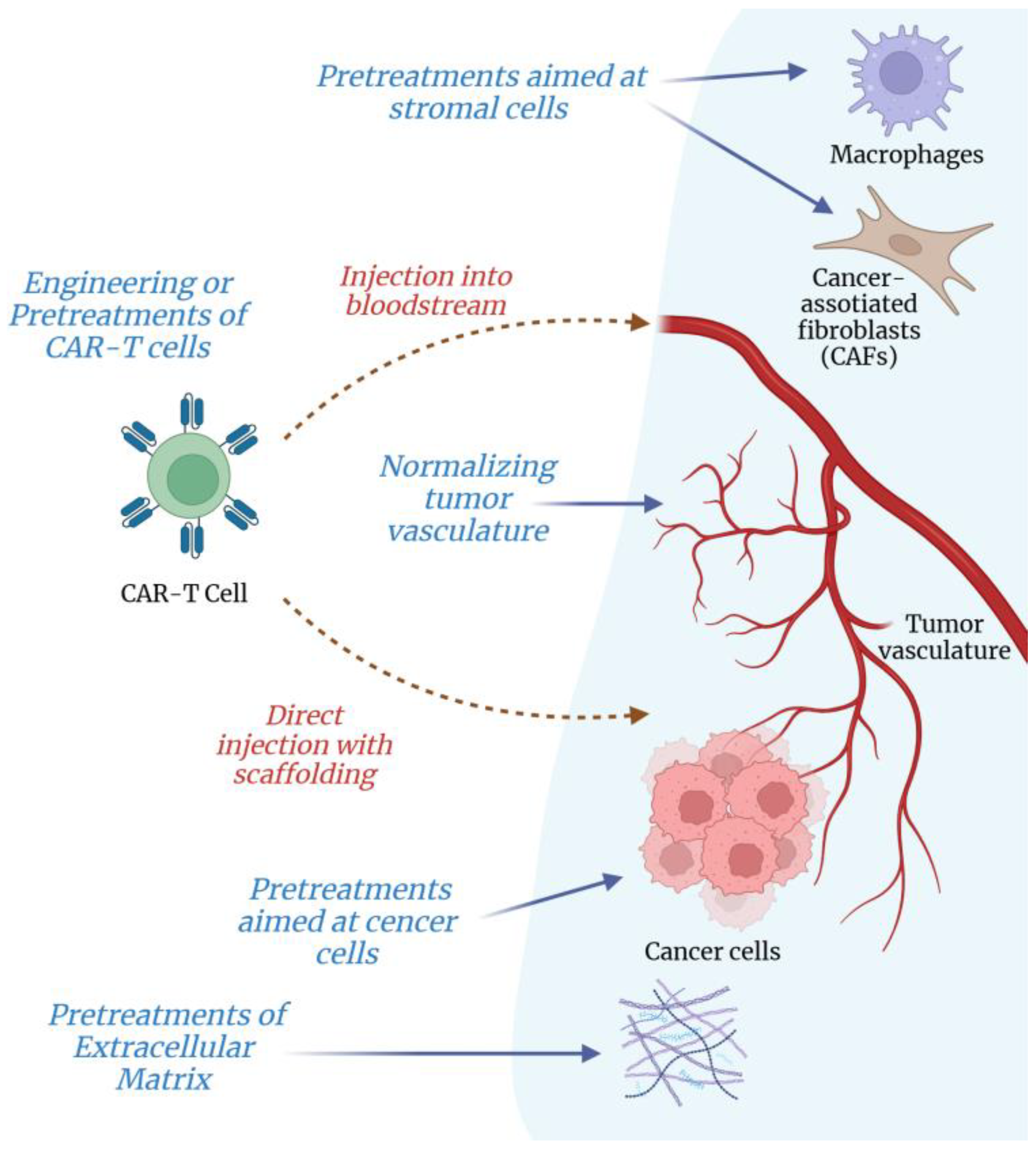 Curroncol 32 00079 g005