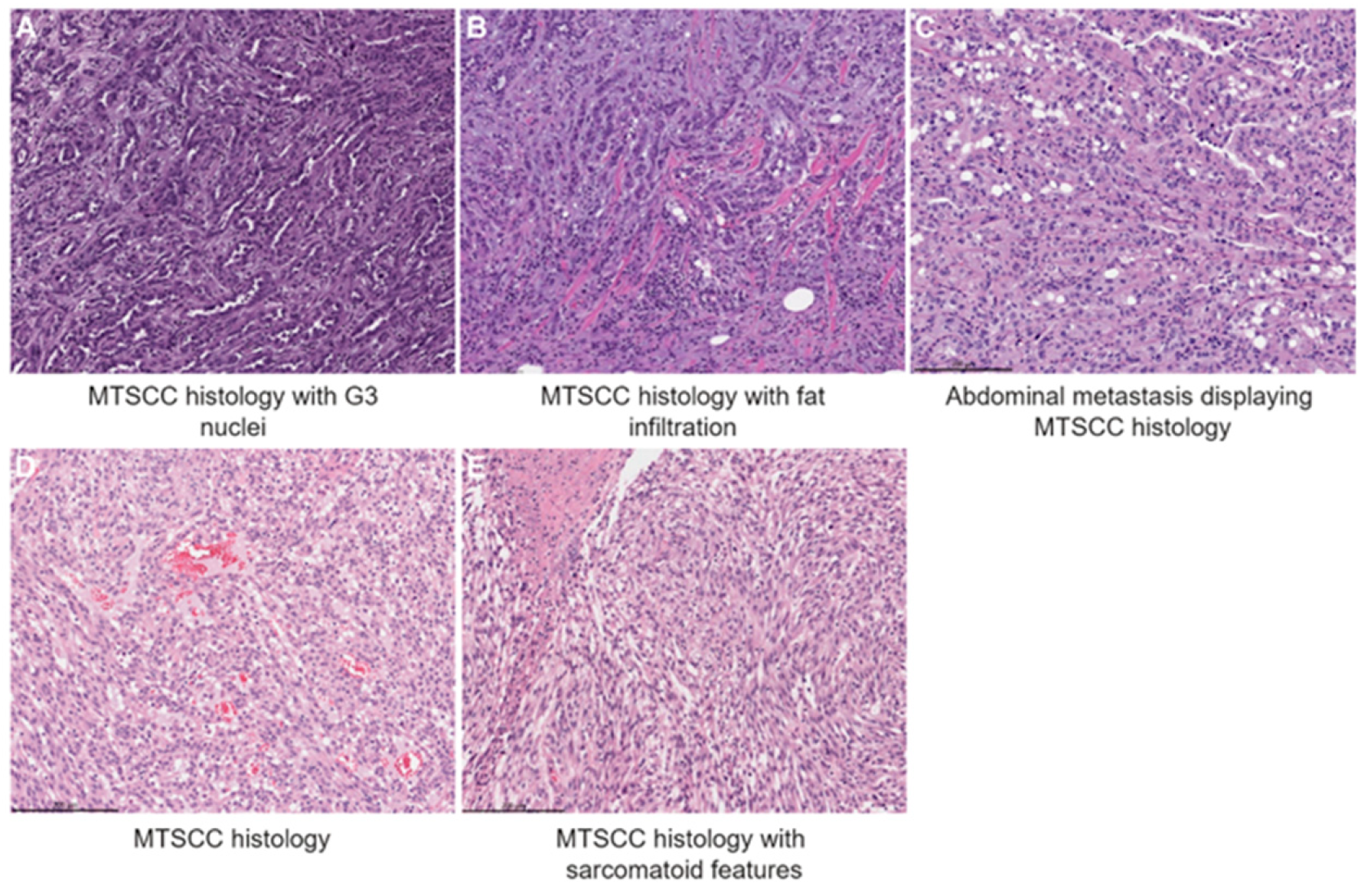 Curroncol 32 00094 g001