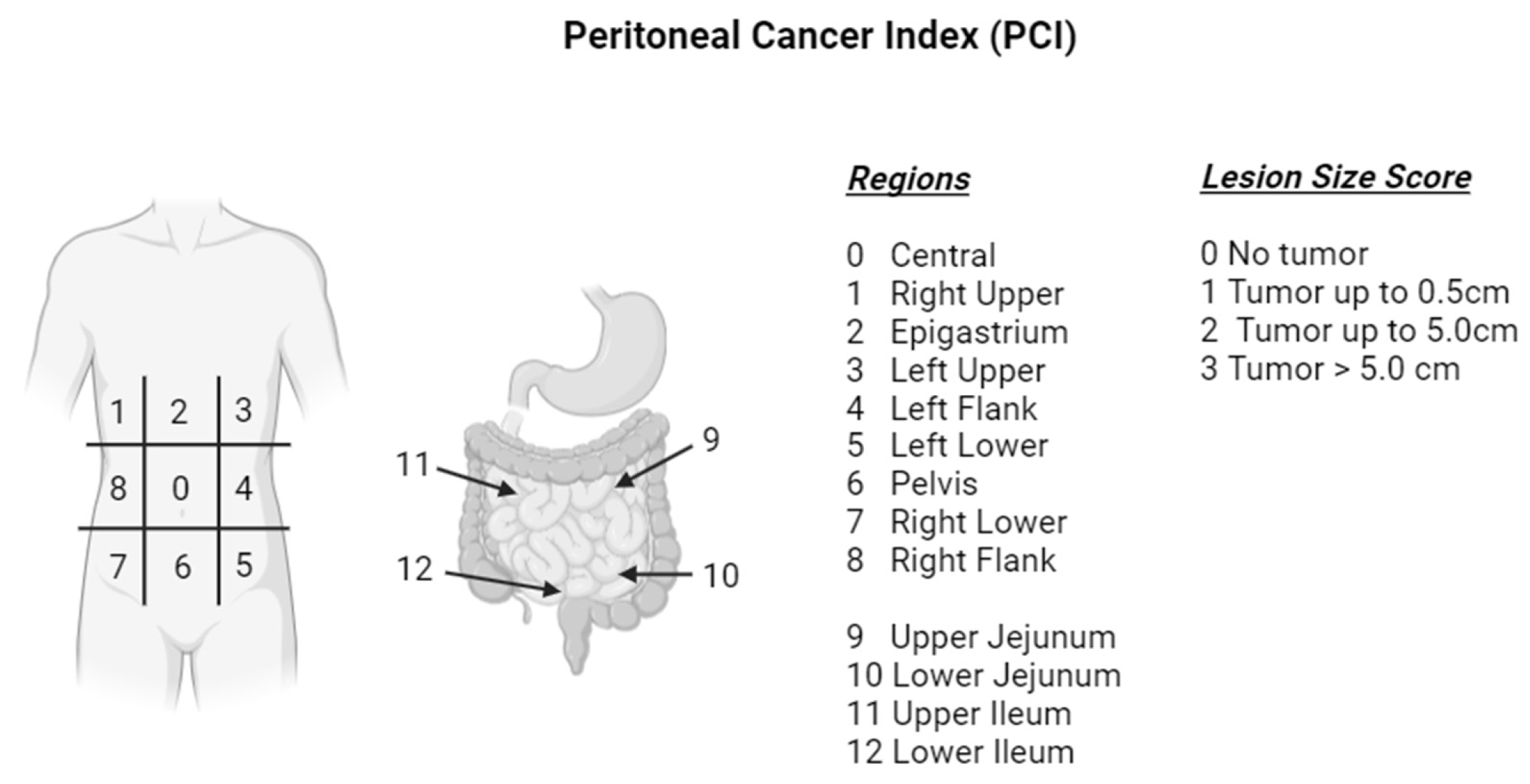 Curroncol 32 00103 g003