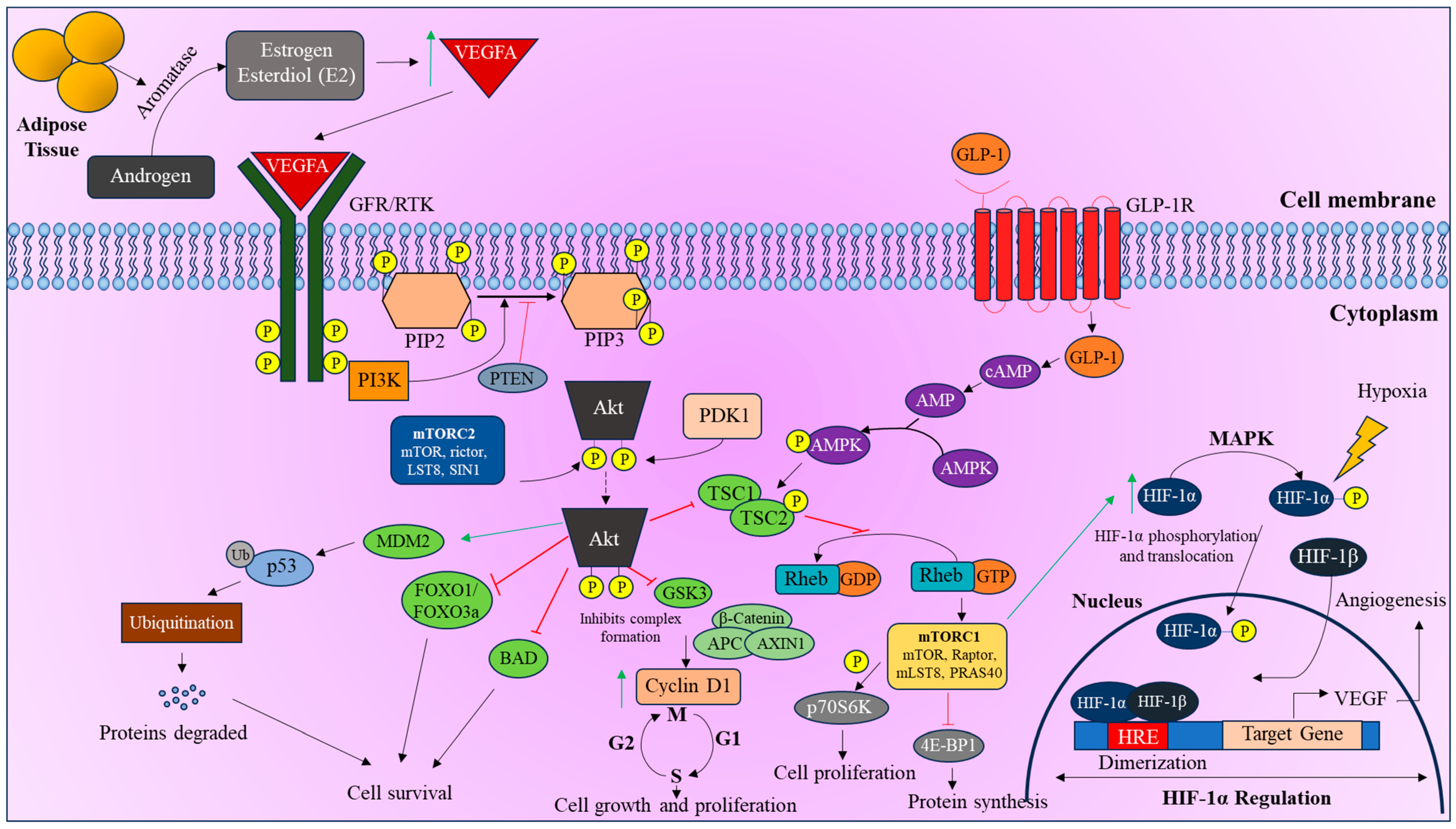 Curroncol 32 00106 g003