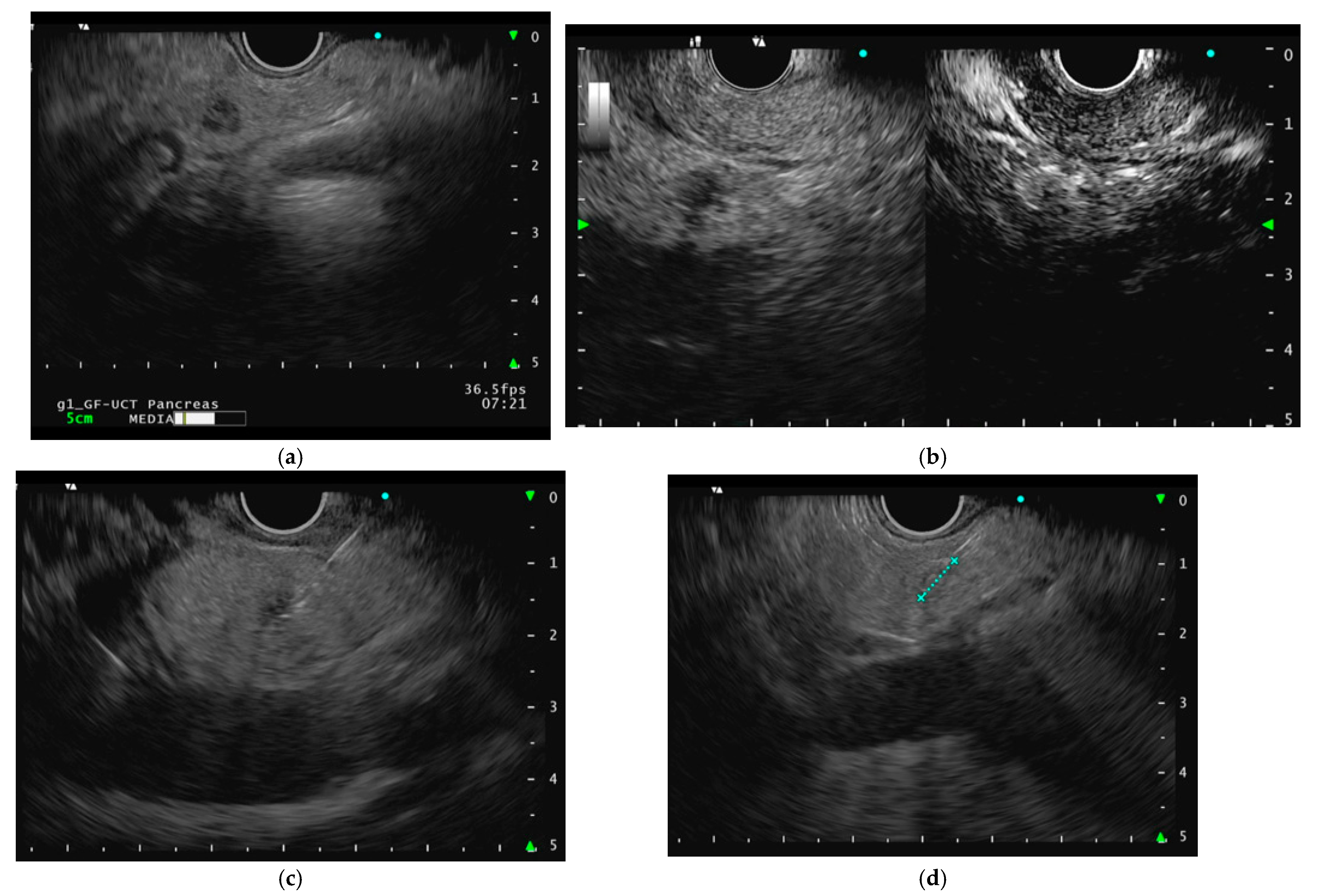 Curroncol 32 00113 g001a