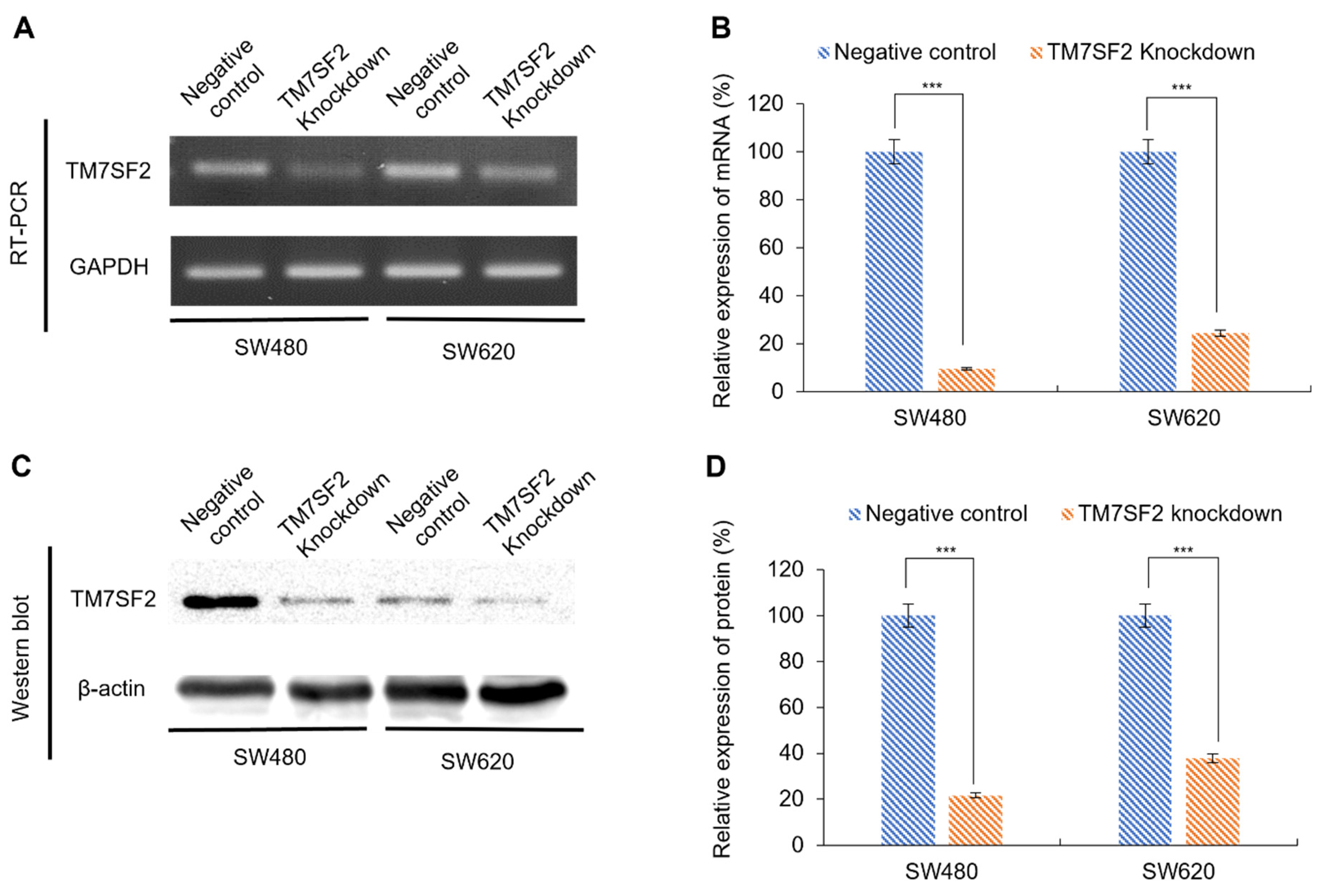 Curroncol 32 00114 g002