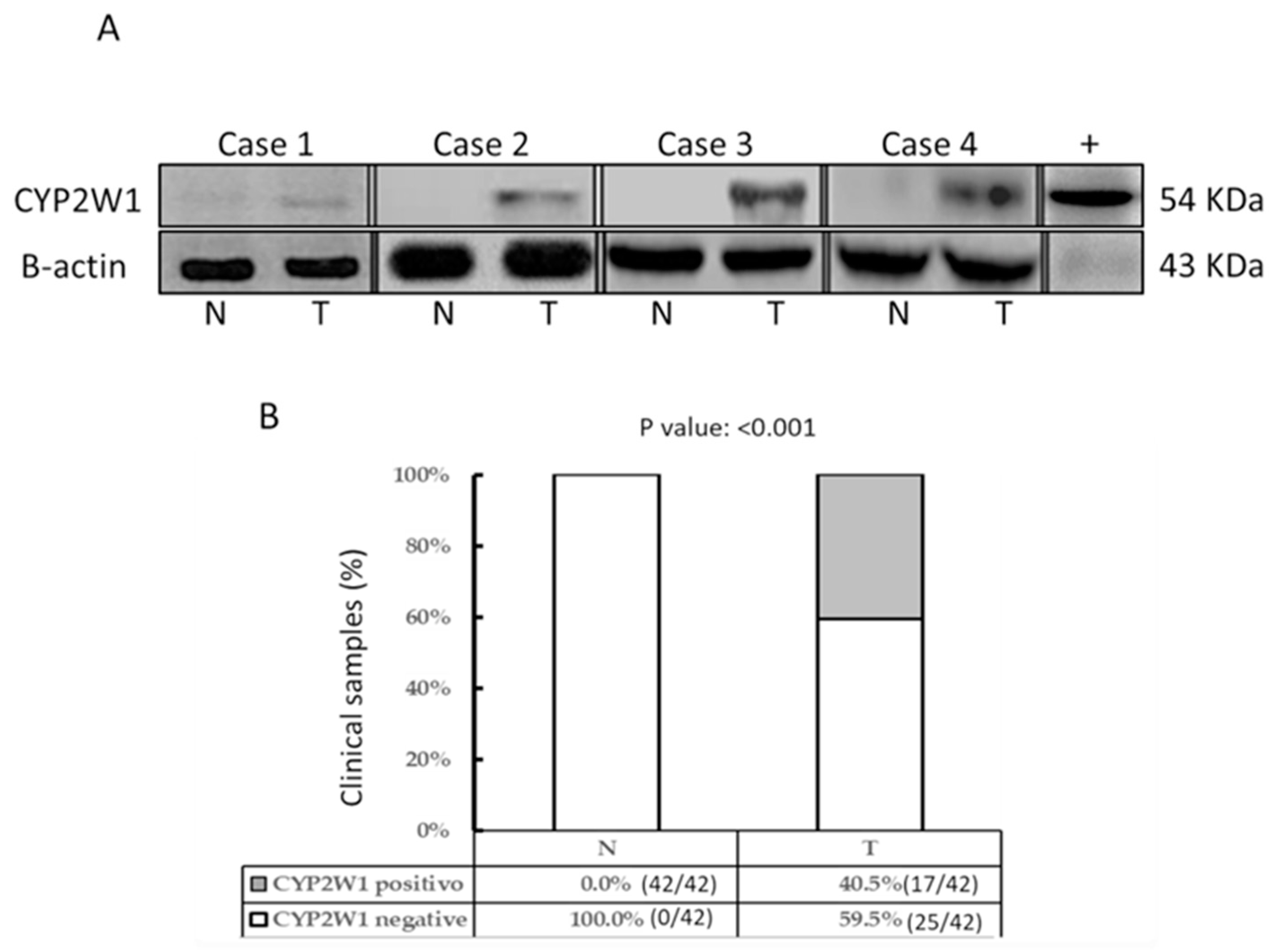 Curroncol 32 00131 g002