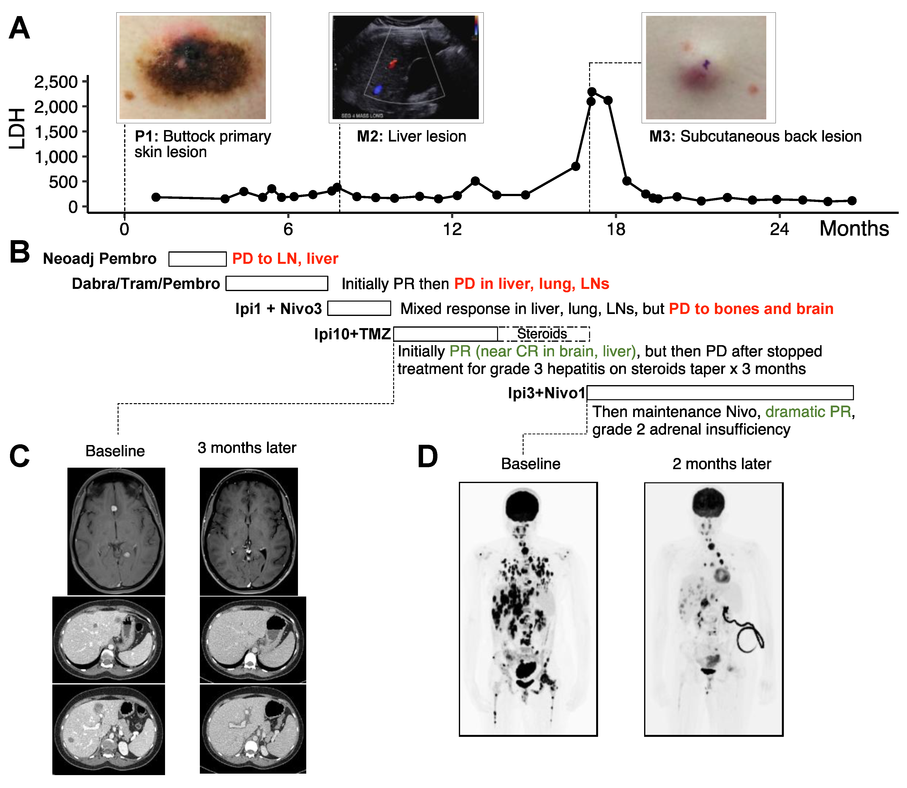 Curroncol 32 00144 g001