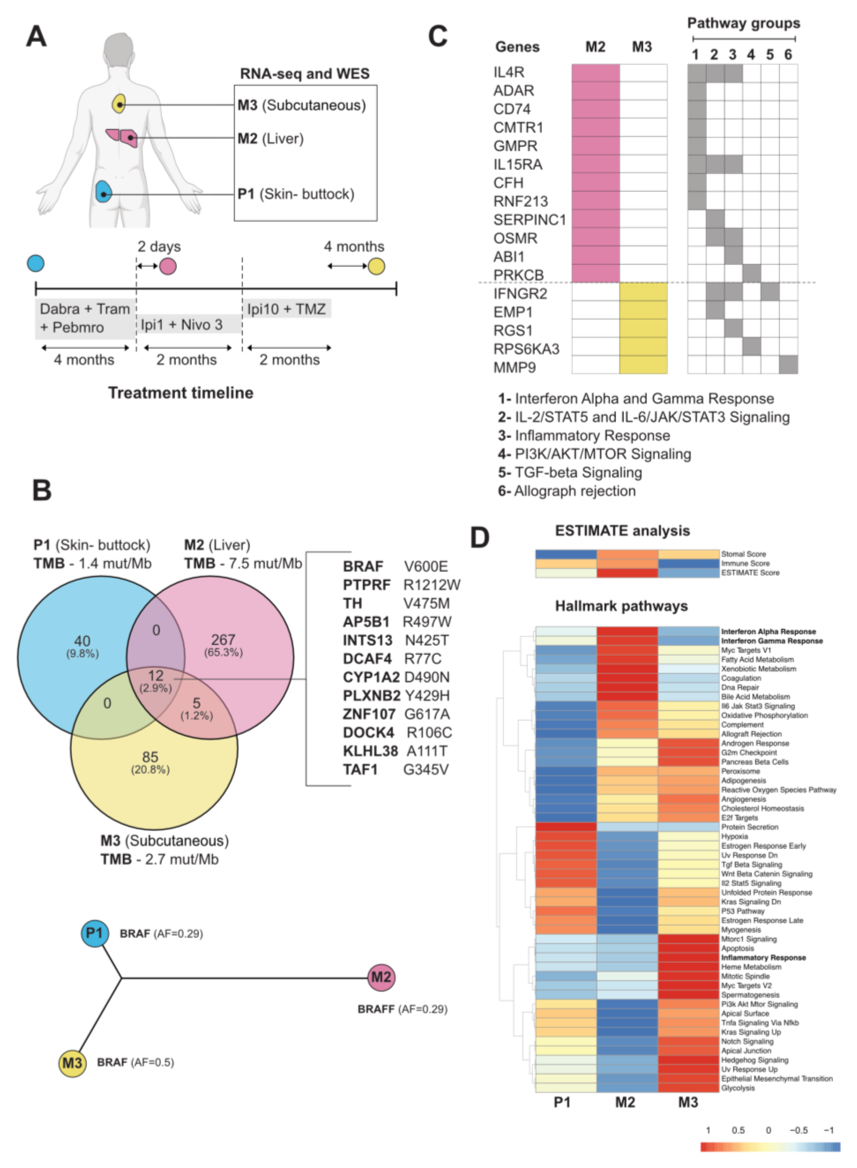 Curroncol 32 00144 g002