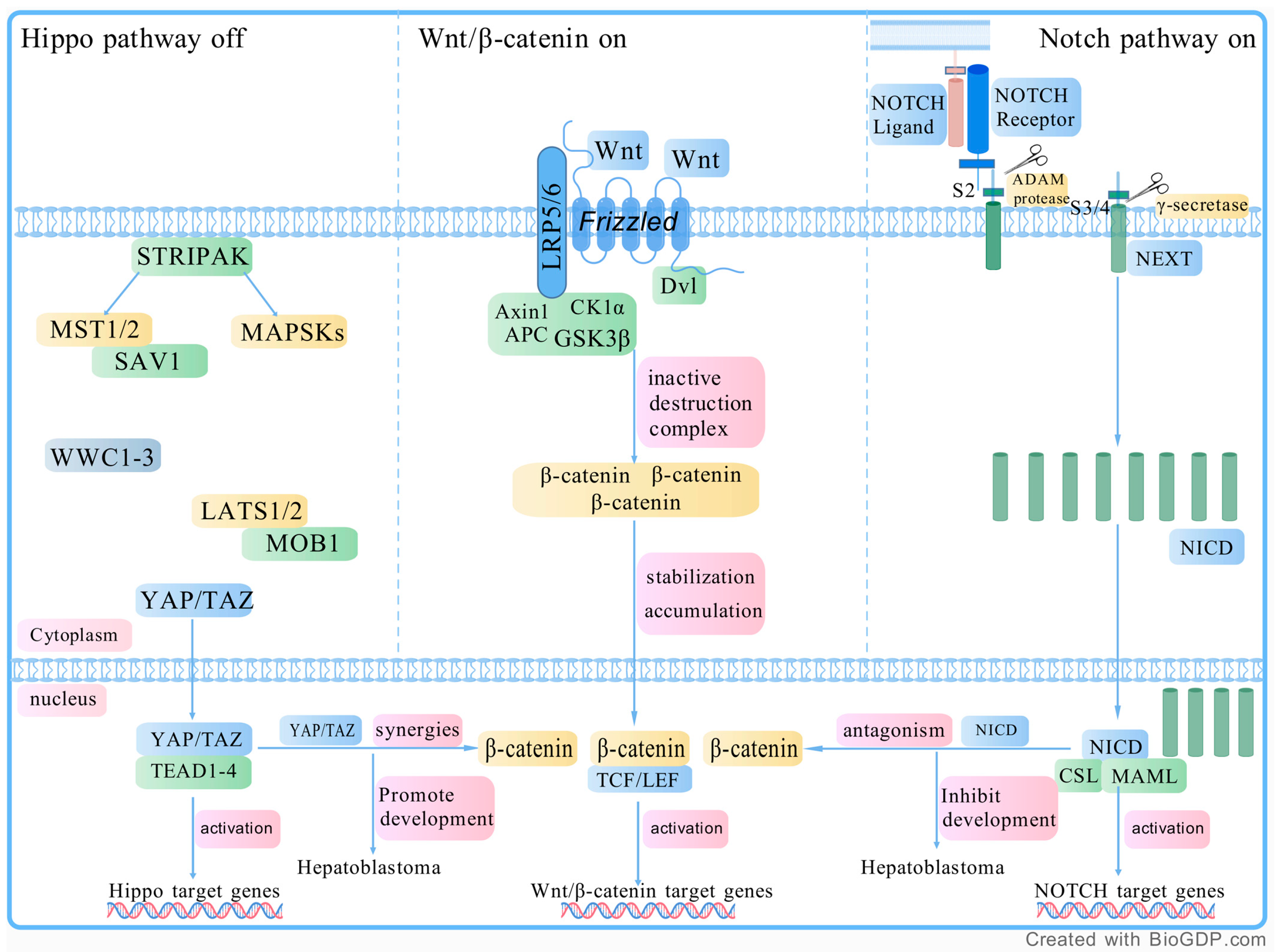 Curroncol 32 00149 g001