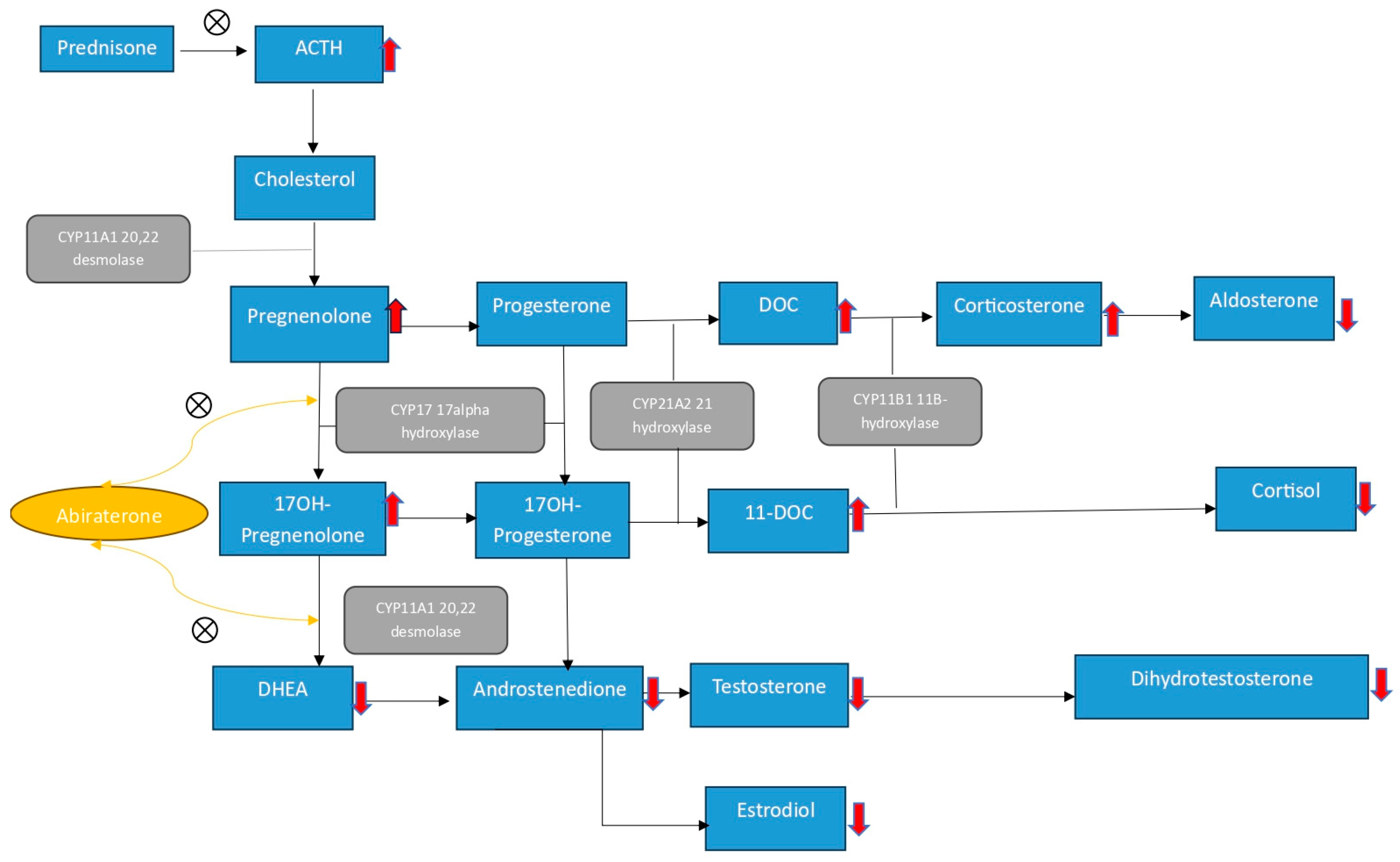 Curroncol 32 00156 g001