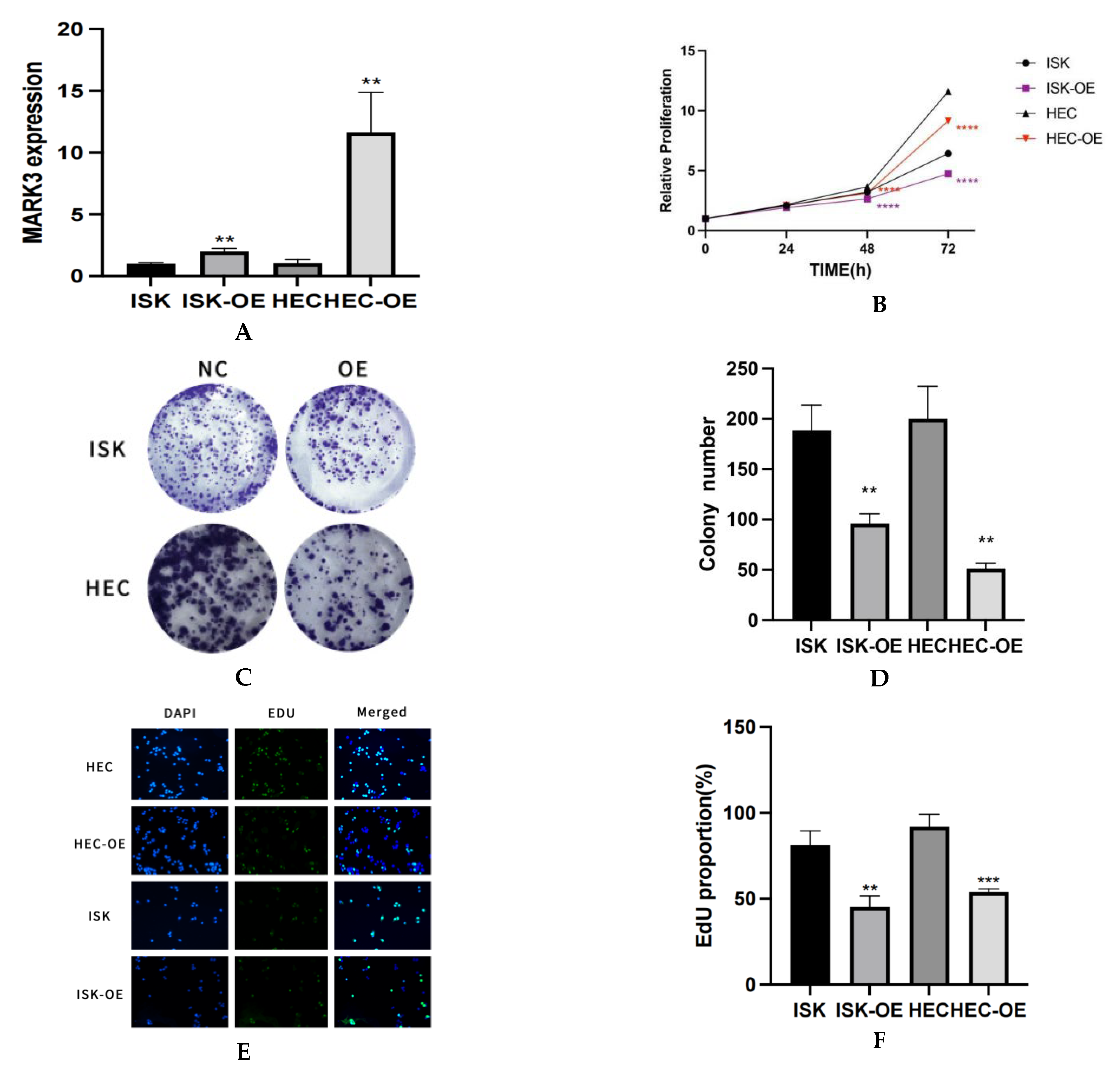 Curroncol 32 00157 g002