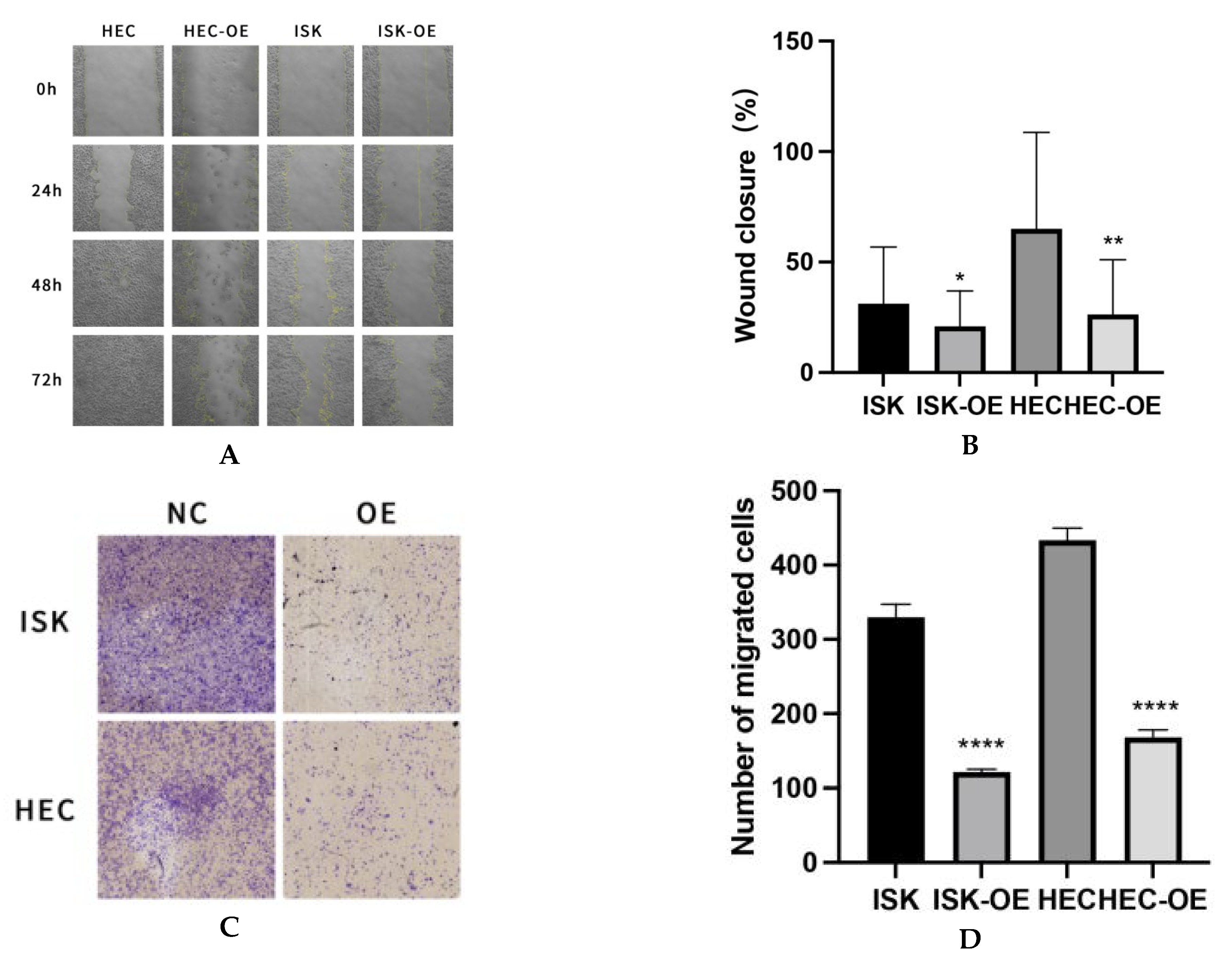 Curroncol 32 00157 g003