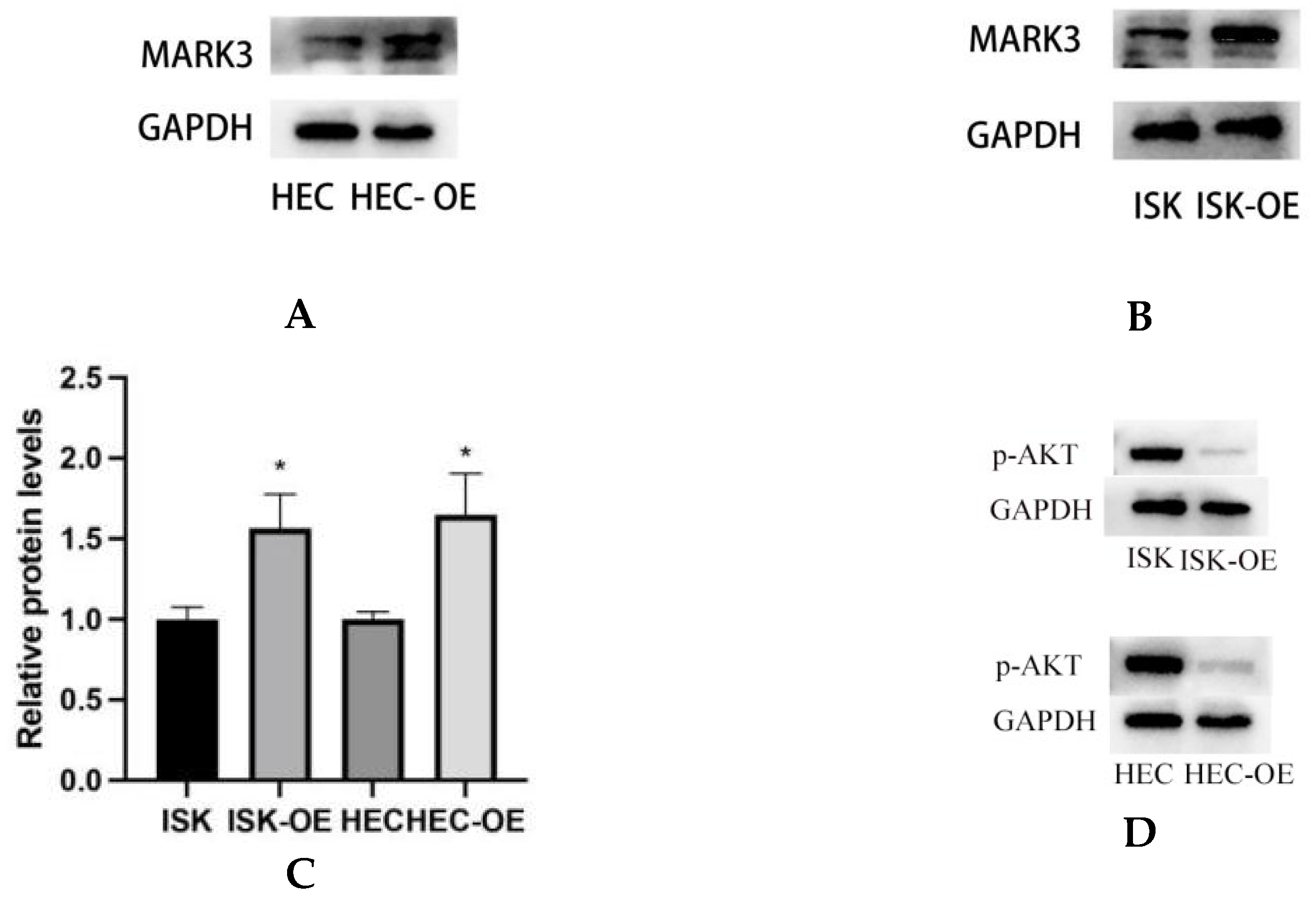 Curroncol 32 00157 g004a