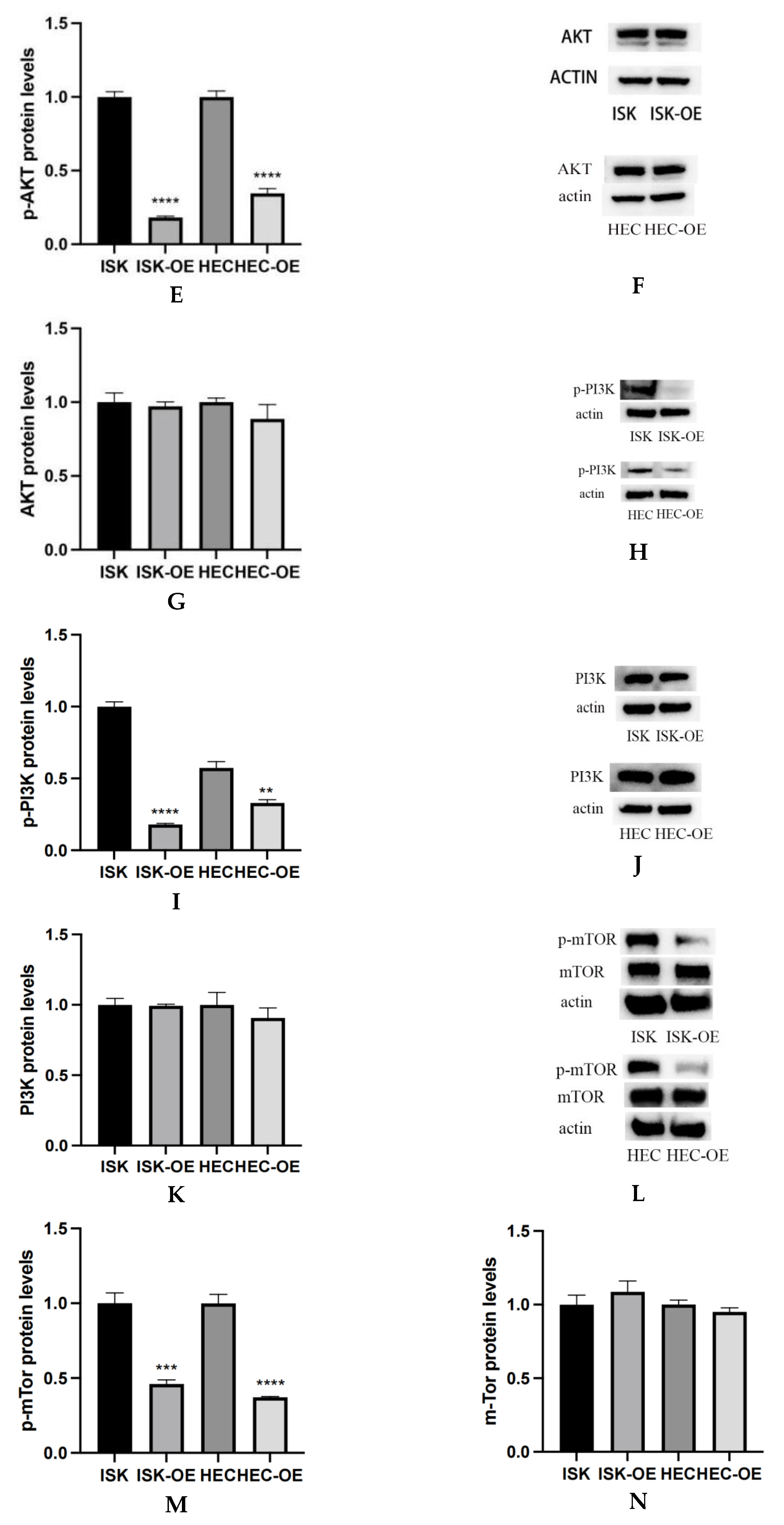 Curroncol 32 00157 g004b