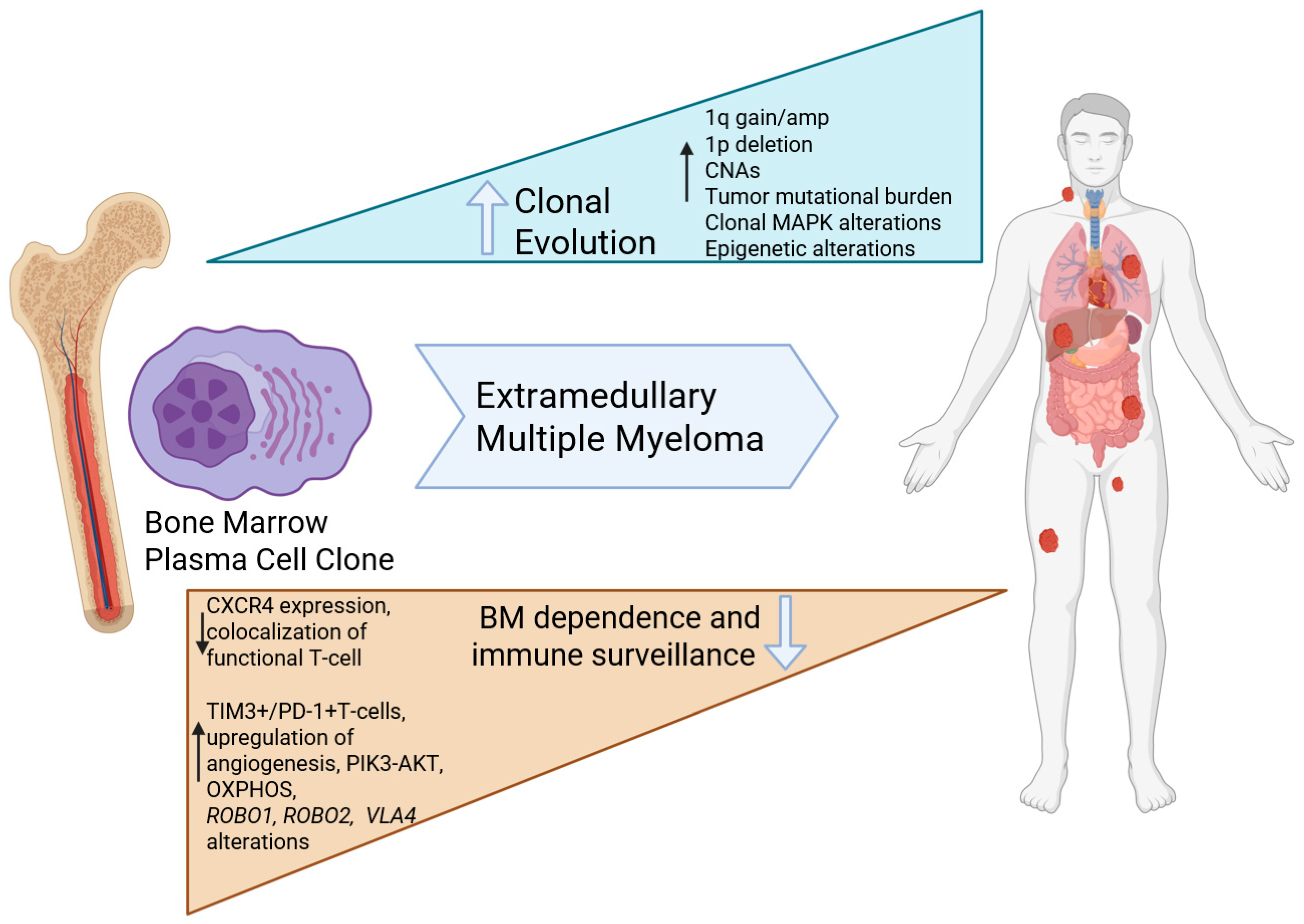 Curroncol 32 00182 g002